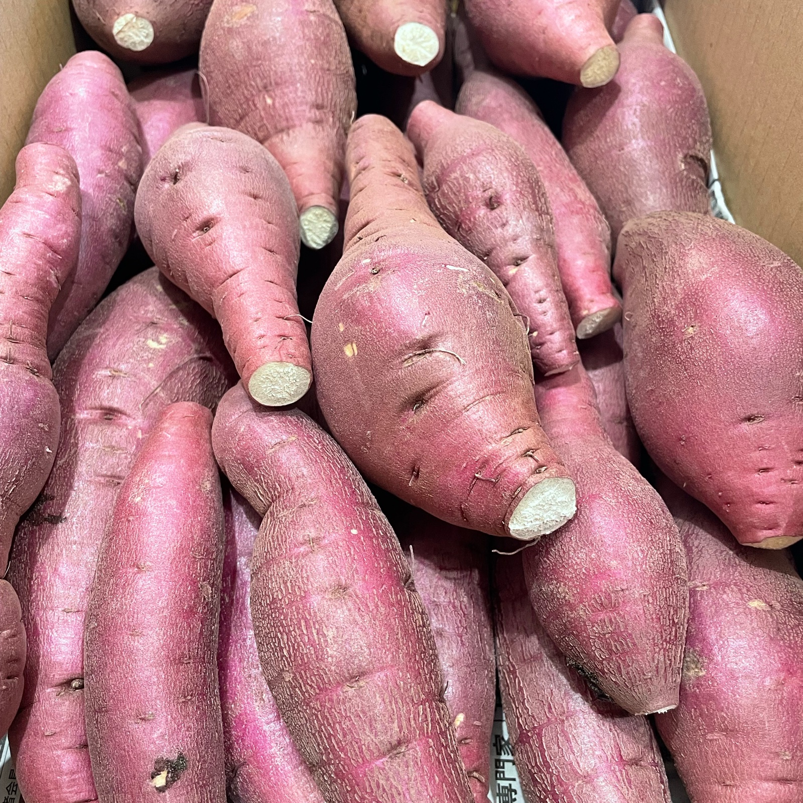 紅はるか 9.0kg (訳あり) ｜ 野菜/さつまいも 産直アウル 農家・漁師