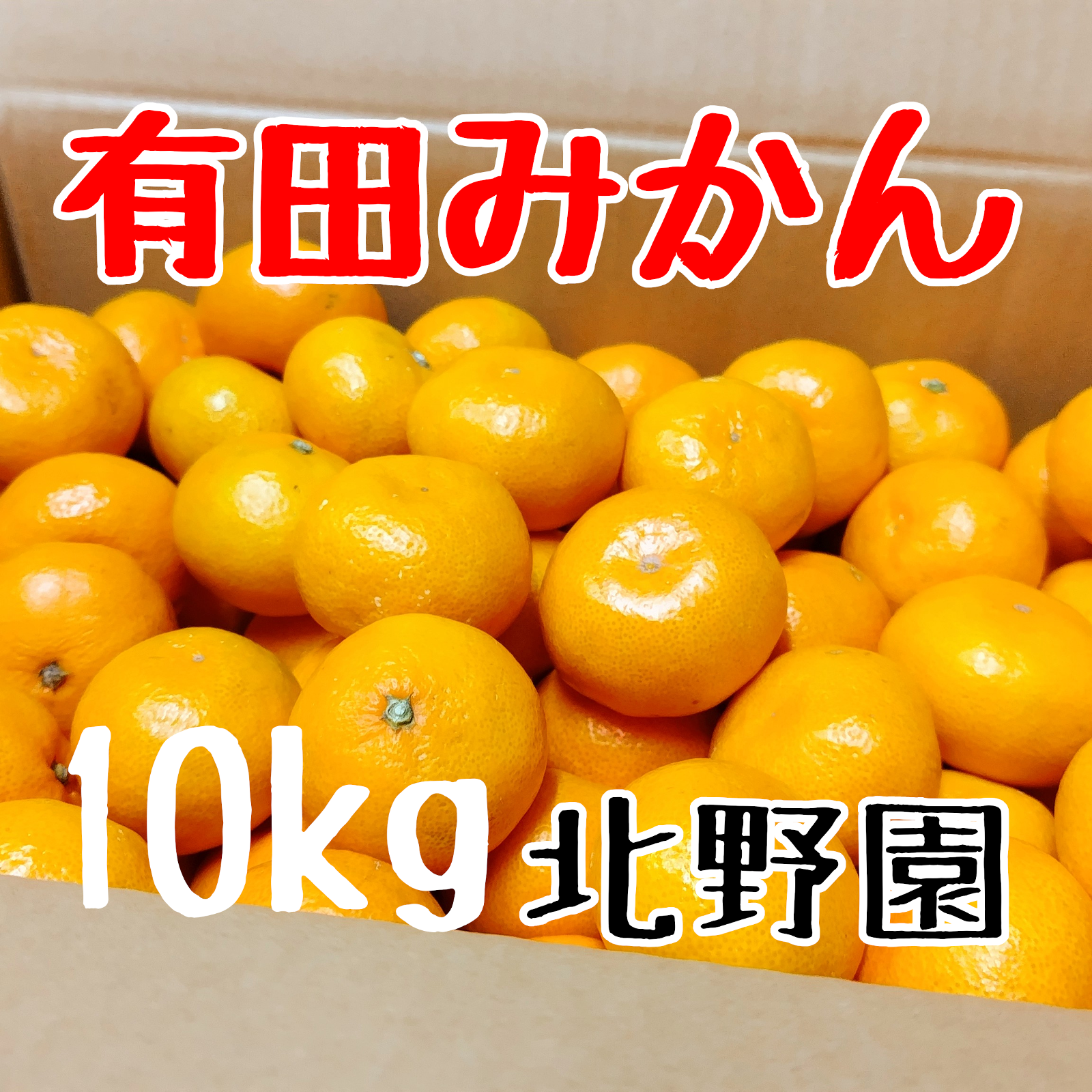 恵子のこだわりみかん 小玉 2S,3Sサイズ混合 10kg | 果物/温州みかん