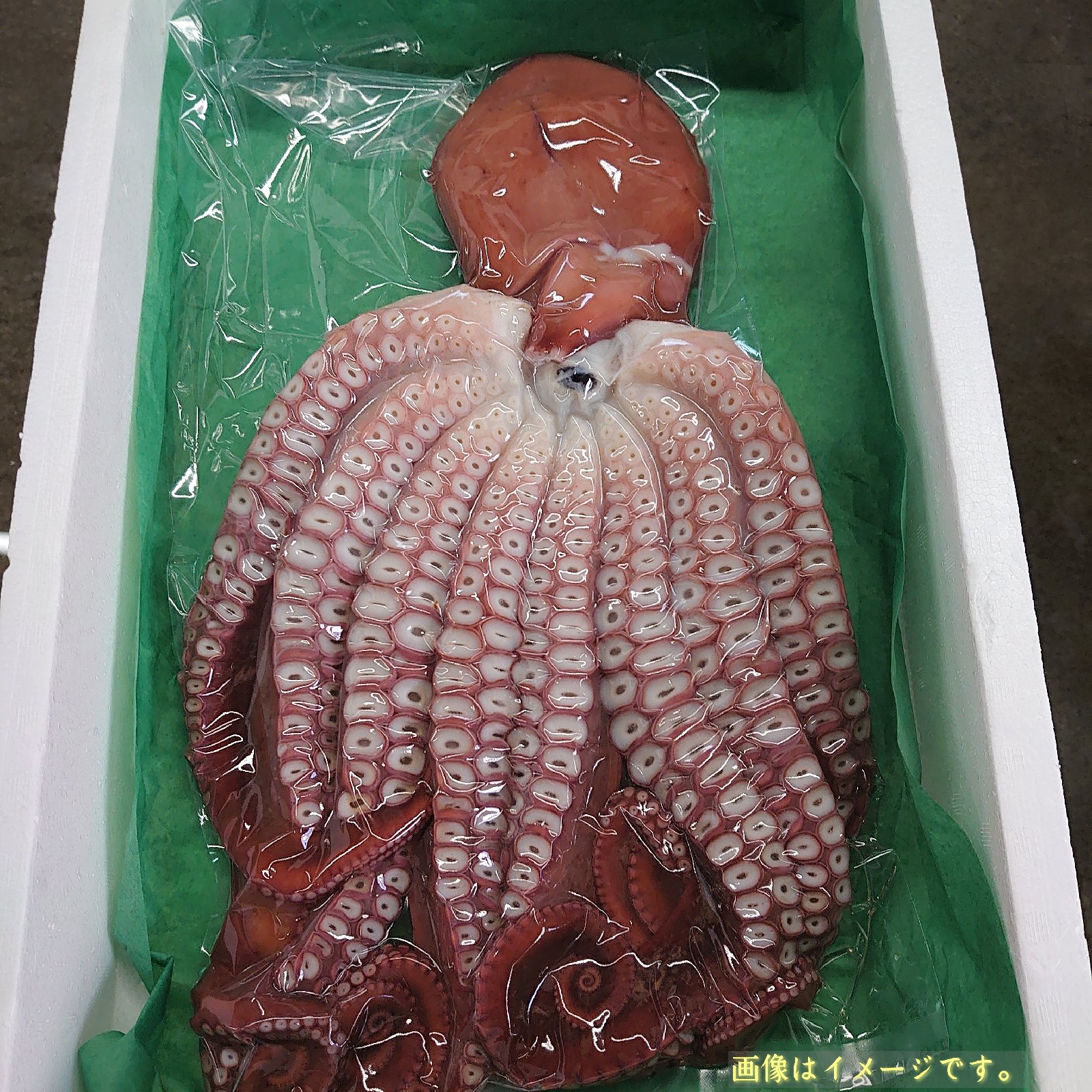 北海道小樽産 茹でタコ 1杯2.9㎏ ｜ 魚介類/タコ 産直アウル 農家