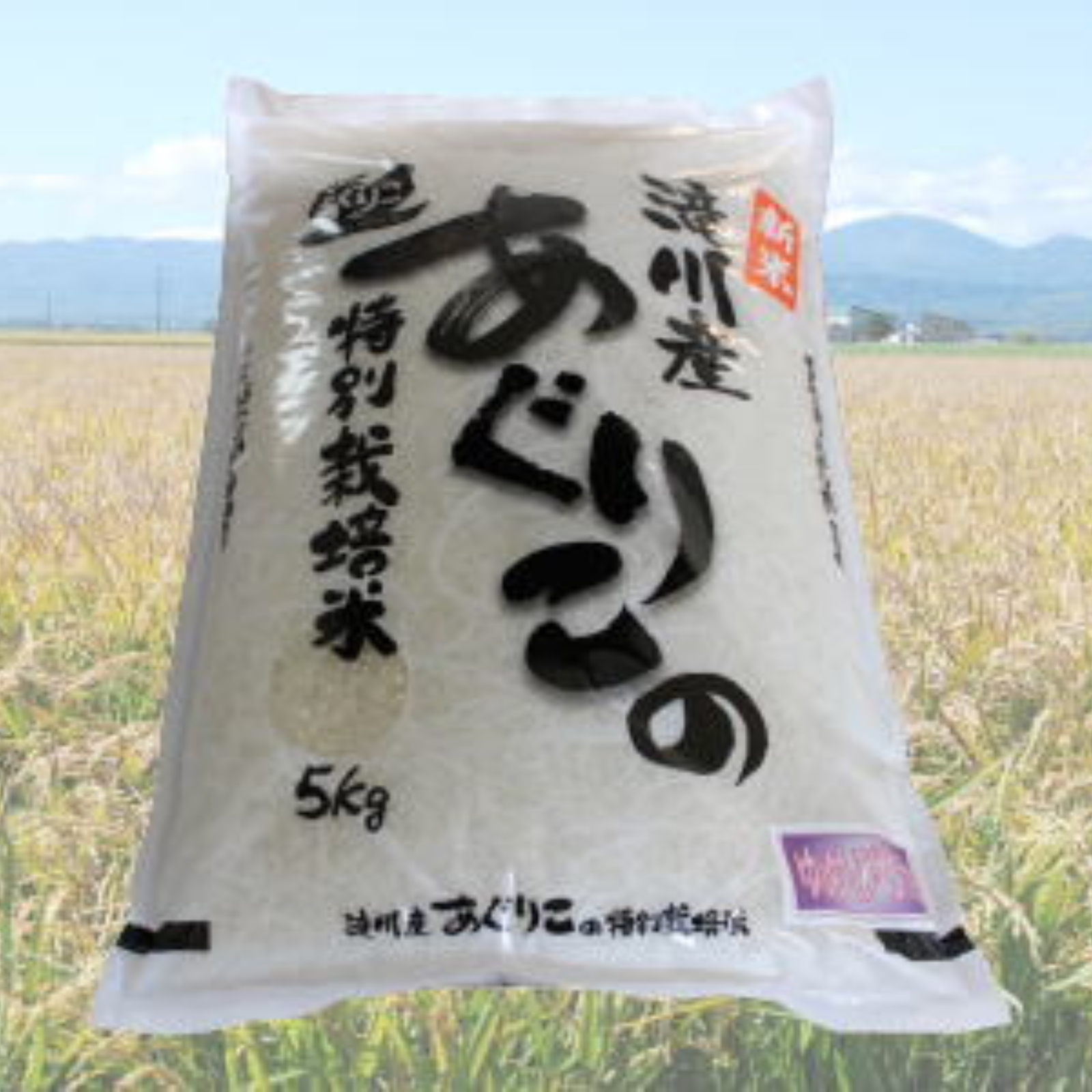 限定10個」令和6年産特別栽培ゆめぴりか5Kg ｜ 米・穀物/米/精米 産直
