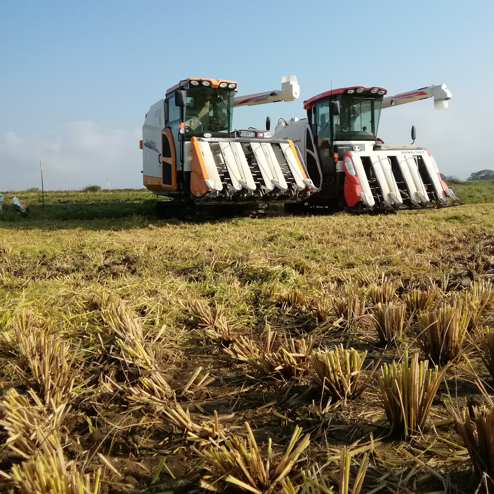令和7年産まっしぐら10kg | 米・穀物/無洗米 産直アウル 農家から直接