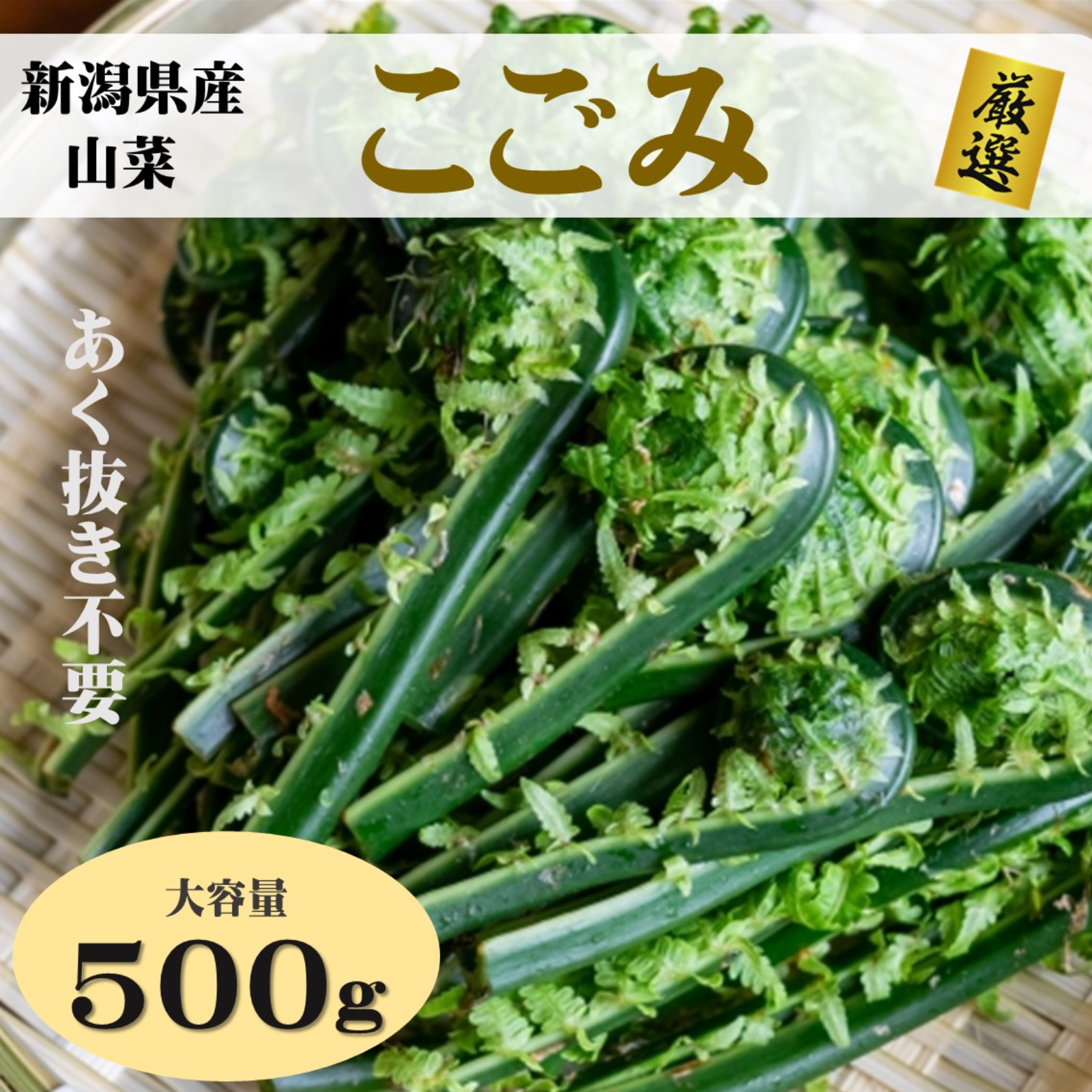 新潟県産 山菜 こごみ 500g ｜ 野菜/山菜 産直アウル 農家・漁師など