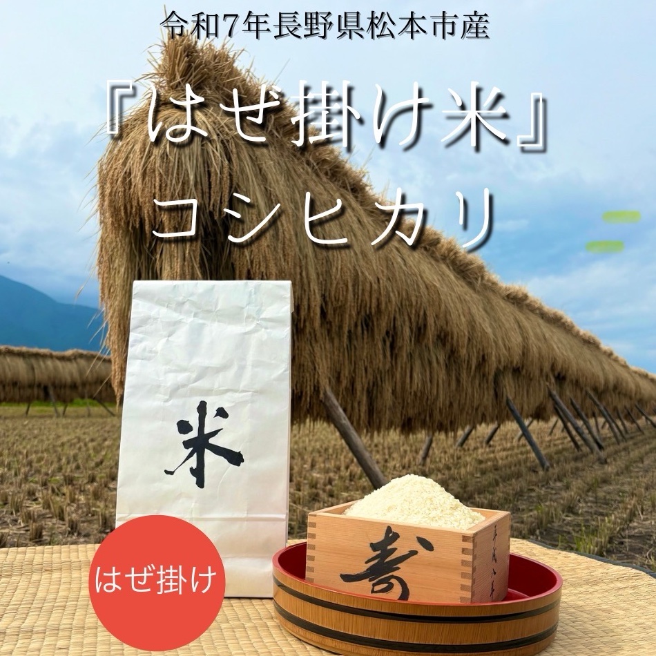 令和7年産 はぜ掛け米コシヒカリ ｜ 米・穀物/米/精米 産直アウル 農家 