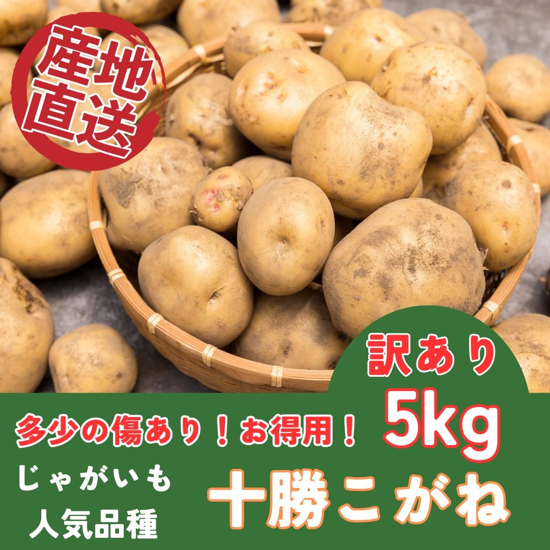 激安！ 早い者勝ち じゃがいも 58 激安！ 早い者勝ち じゃがいも 58