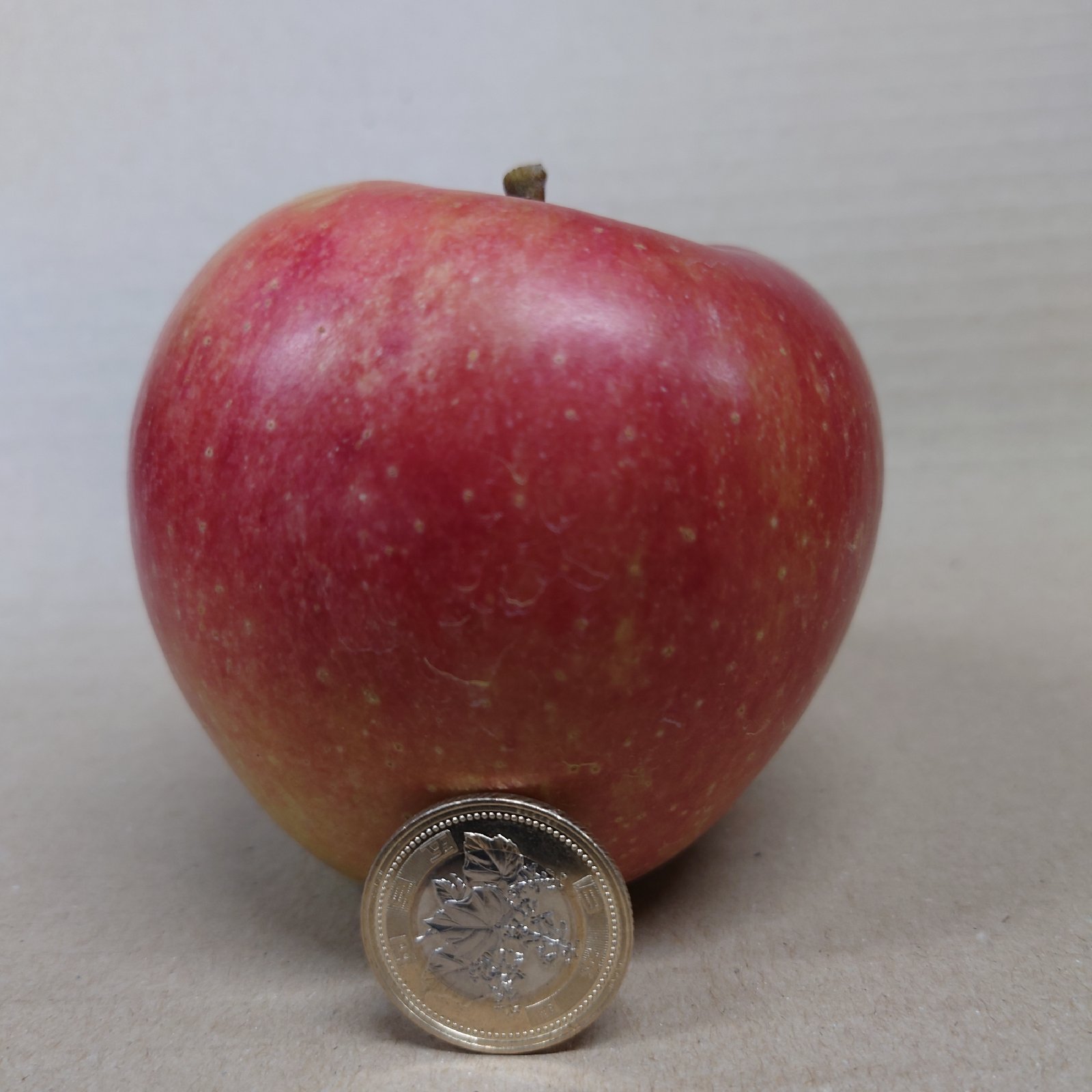 長野県 五輪久保産 つがる 3kg 10玉 | 果物/りんご 産直アウル 農家