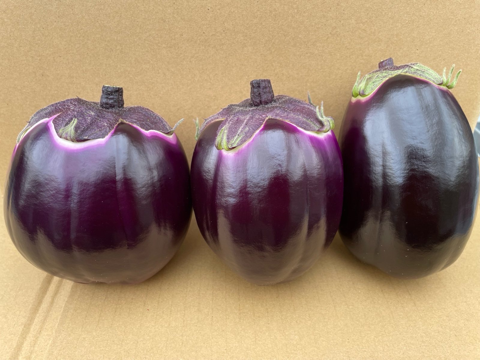 松岡農園のヴィオレッタ ディ フィレンツェナス 5個 | 野菜/茄子 産直