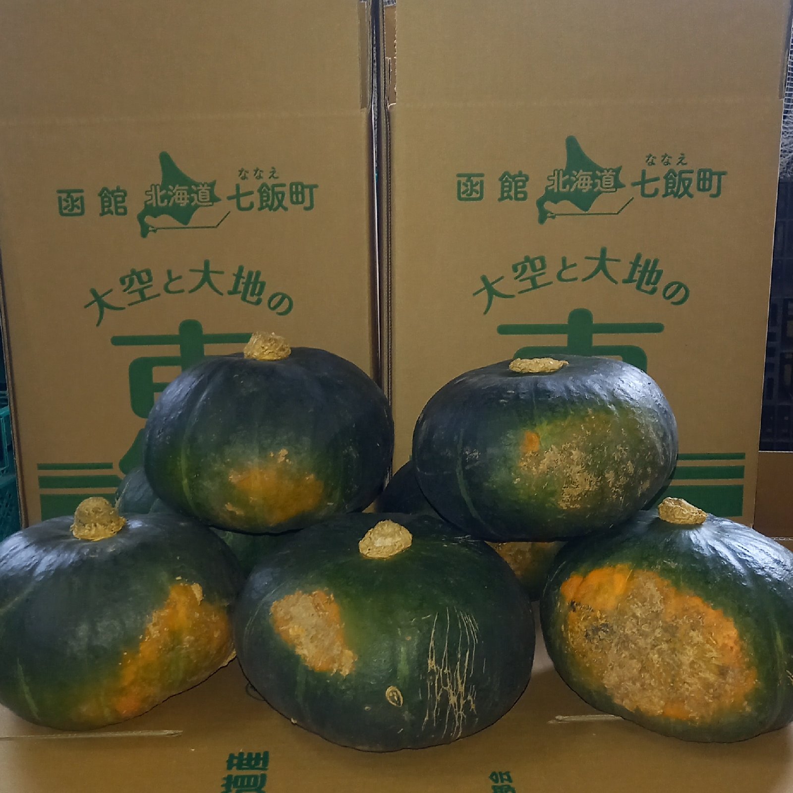 訳あり 栗カボチャブラックのジョー 約4kg(2個～5個) | 野菜/かぼちゃ