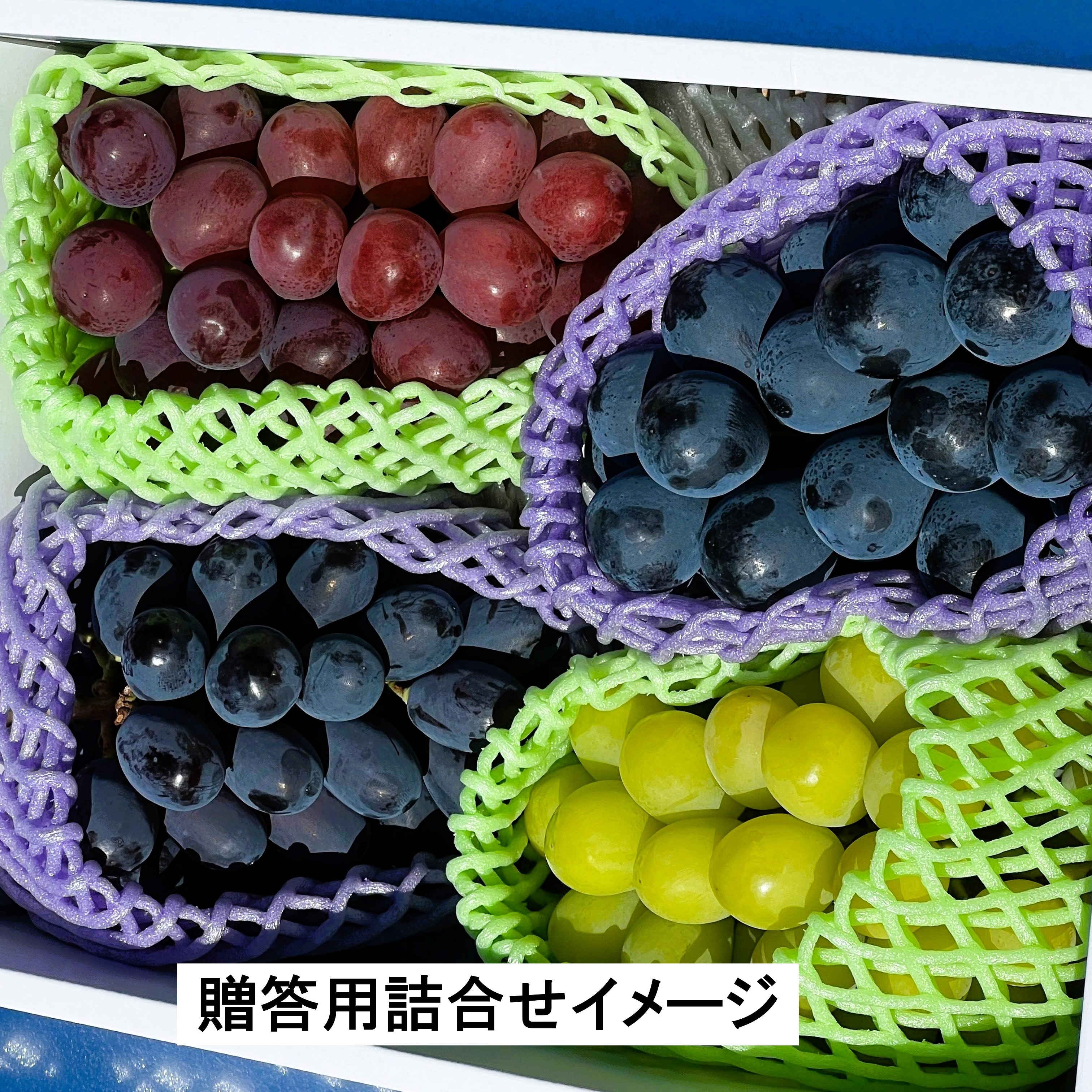 贈答用】園主オススメ 希少品種入り4房詰合せ 約2kg ｜ 果物/ぶどう 