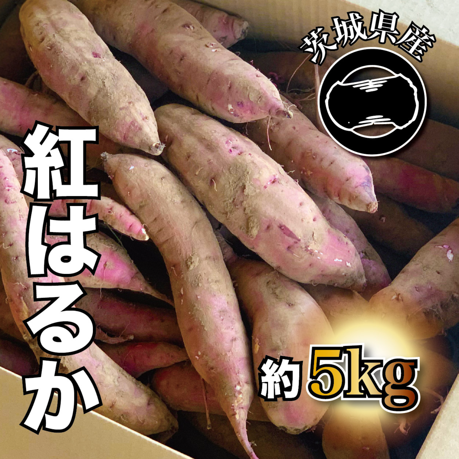 maschanさん専用　千葉県産　べにはるか　さつまいも　約20.5㎏ 12 千葉県産 べにはるか さつまいも サツマイモ Mサイズ 約20.0㎏