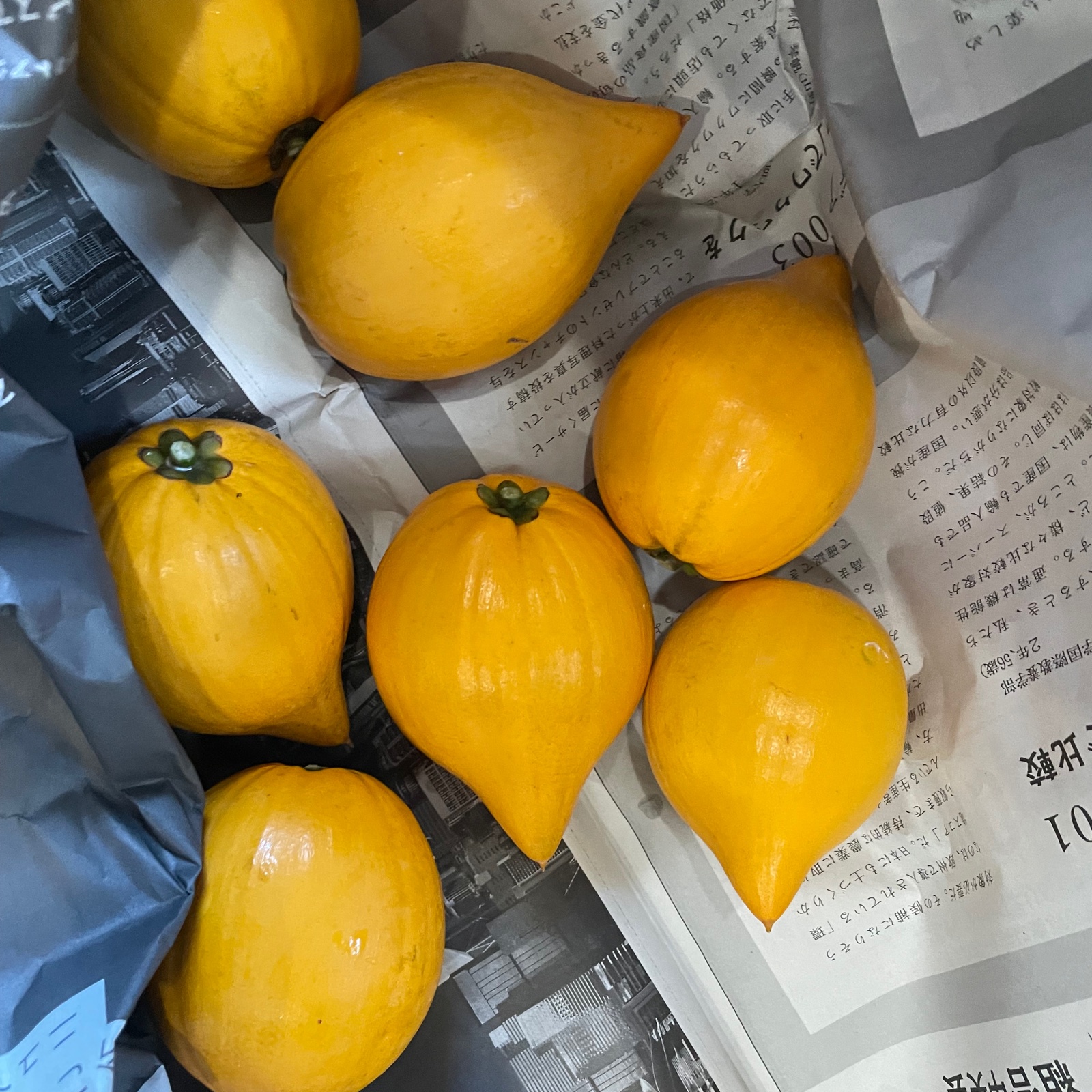 寛尚ファームの大中小カニステル1kg 果物 その他果物 産直アウル 農家から直接野菜などの食材を購入できる産地直送の宅配通販サイト