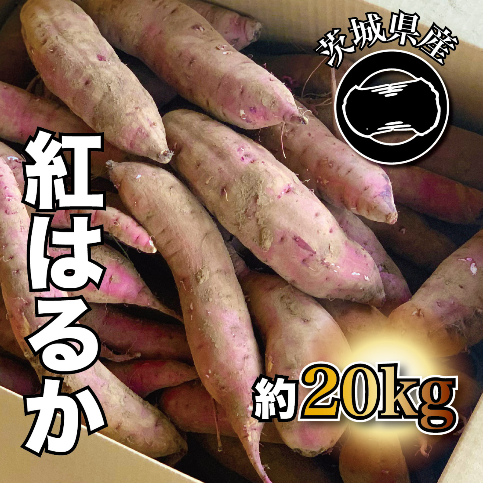 いのちの郷のさつまいも (紅はるか) 約20kg (50g-200g) キュアリング