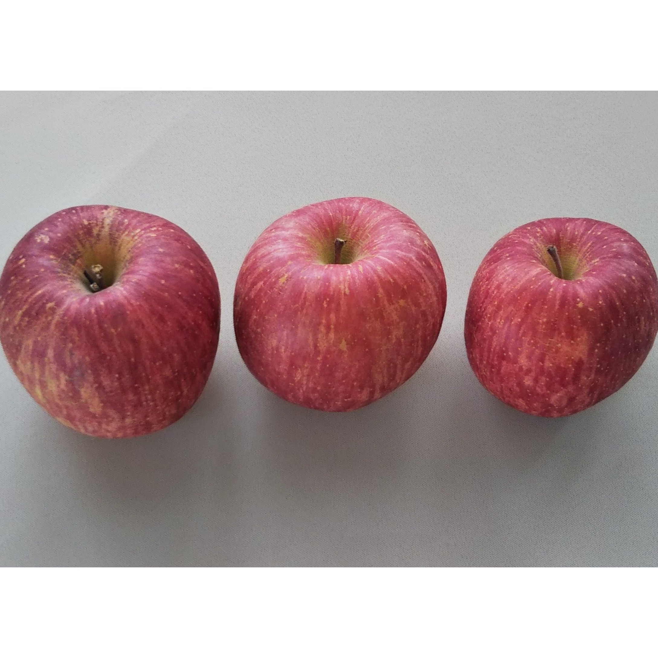 1/24まで】りんご サンふじ 大玉贈答向け 5kg | 果物/りんご 産直