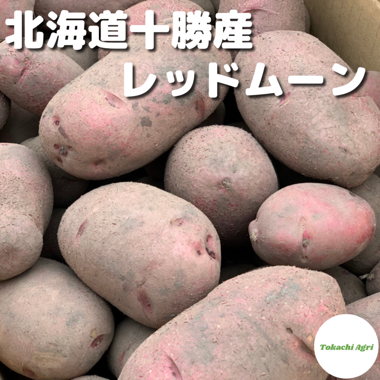 酵素栽培】北海道十勝産じゃがいもレッドムーン４kg | 野菜/じゃがいも