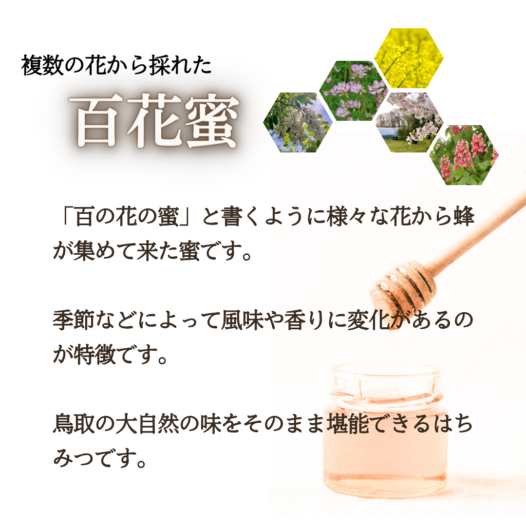 添加物なし】天然はちみつ 600g×2瓶 蜂蜜 ハチミツ セイヨウミツバチ