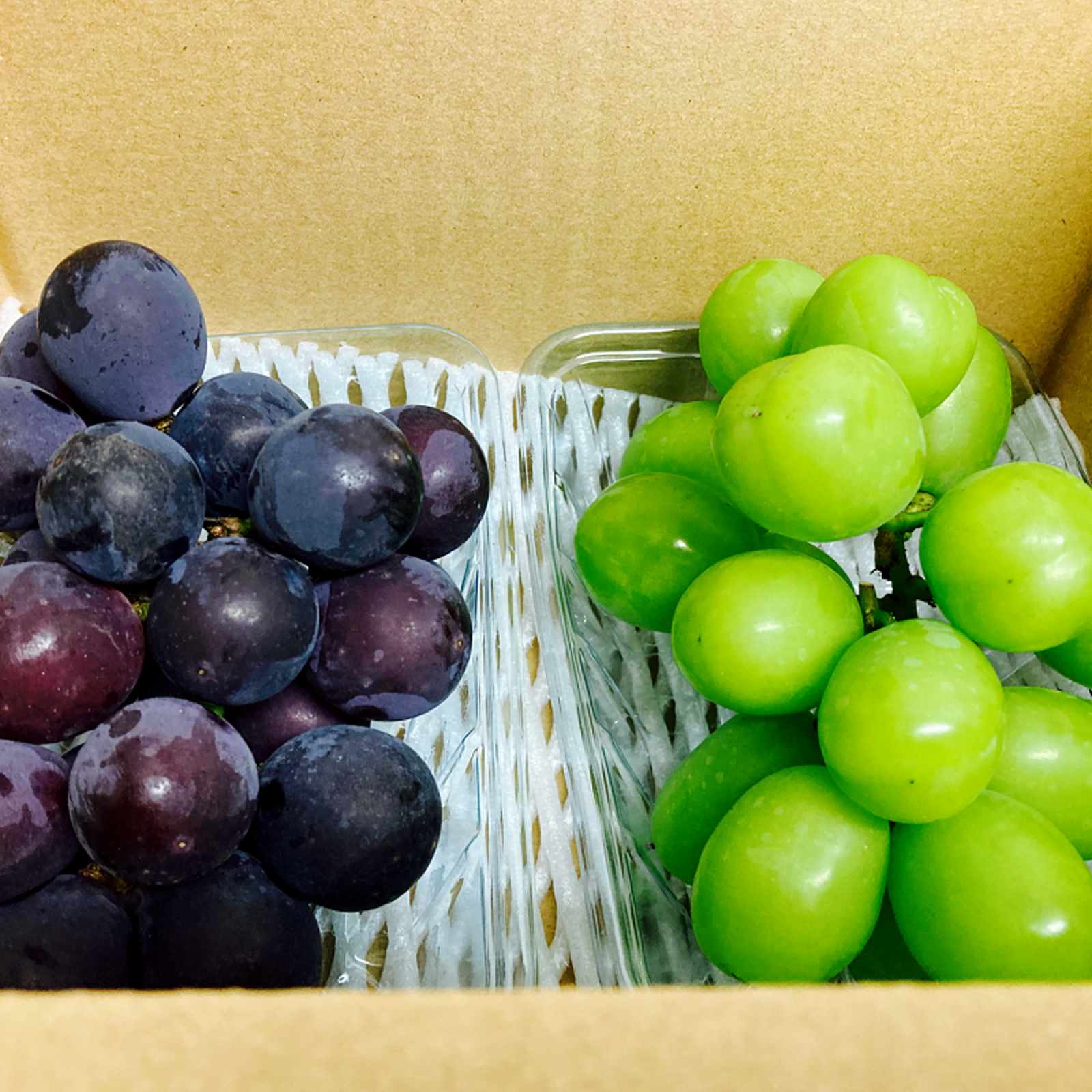 LCフレッシュマスカット セット