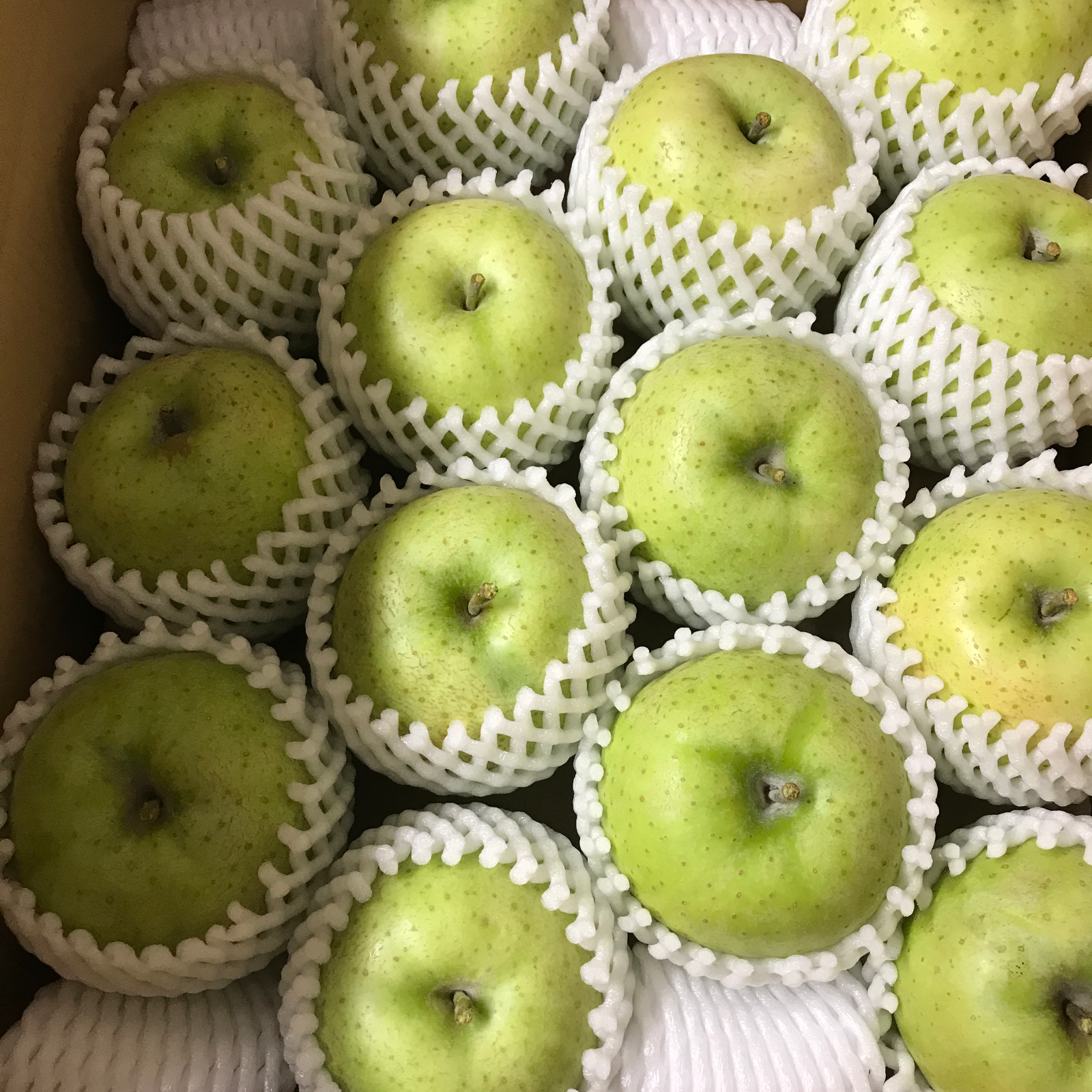 青森県産りんご 「王林]家庭用 キズ有 5kg ｜ 果物/りんご 産直アウル