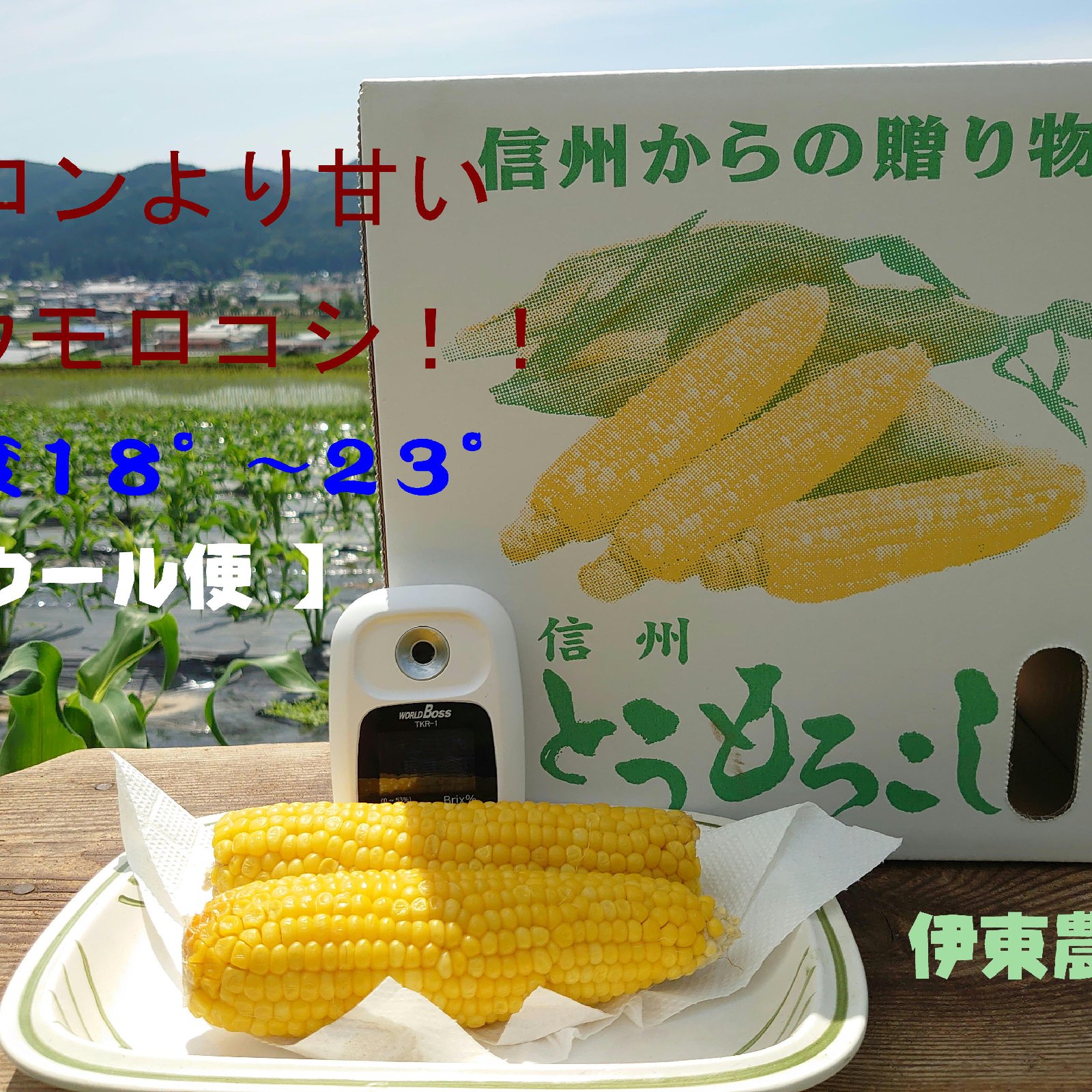 サニーショコラの産地直送食材一覧（通販・お取り寄せ）-産直アウル