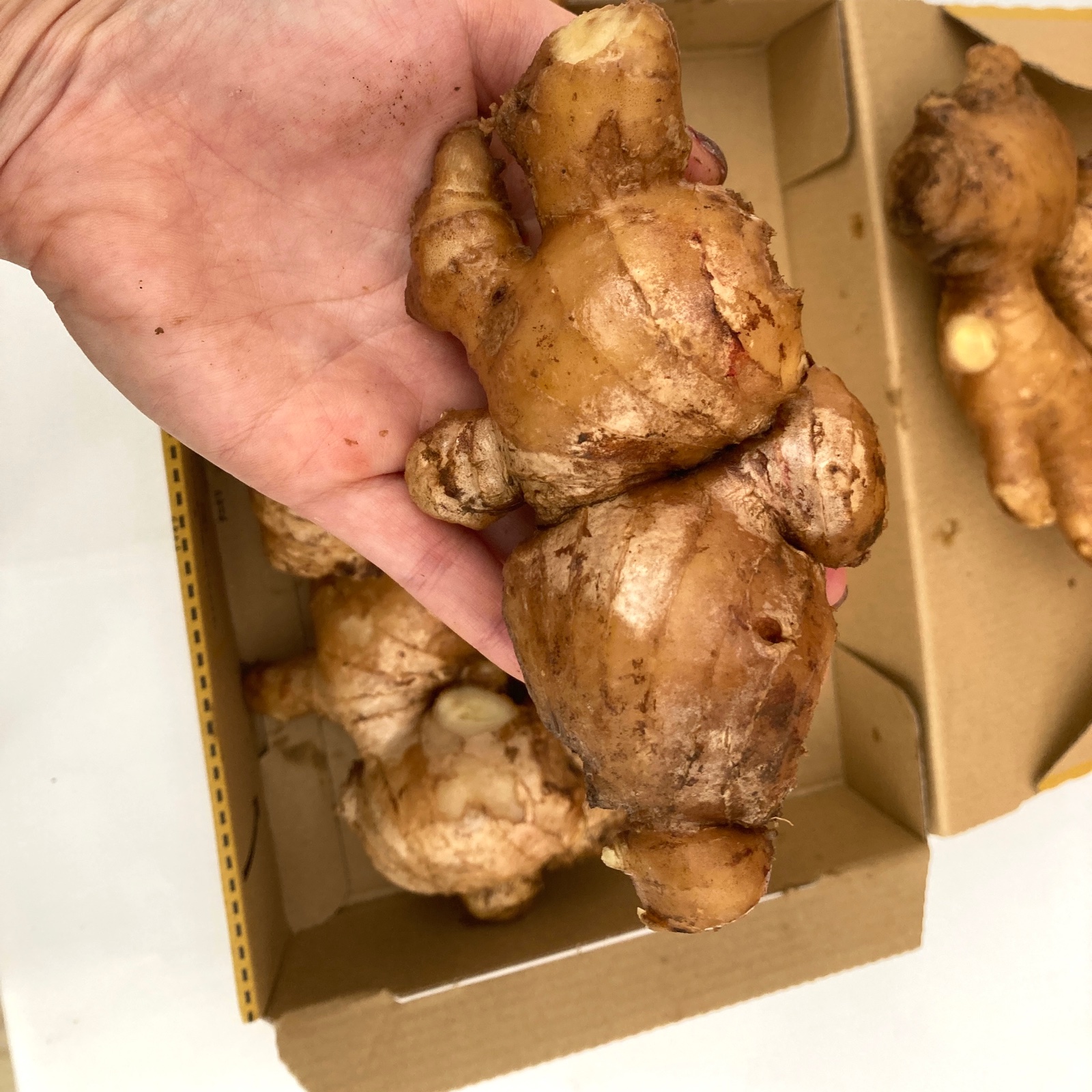 8d5695096208543ce1cb608993e217