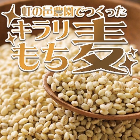 無農薬 もち麦(キラリモチ)【3kg】 ｜ 米・穀物/雑穀 産直アウル 農家