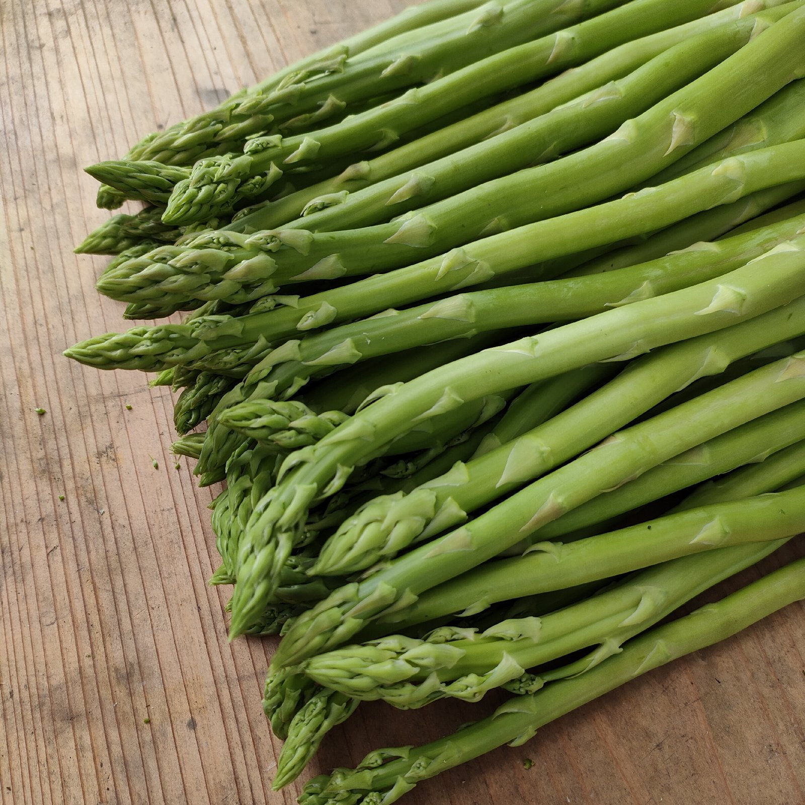 ☆まえで農園☆アスパラガス【 訳あり品】1kg ｜ 野菜/アスパラガス