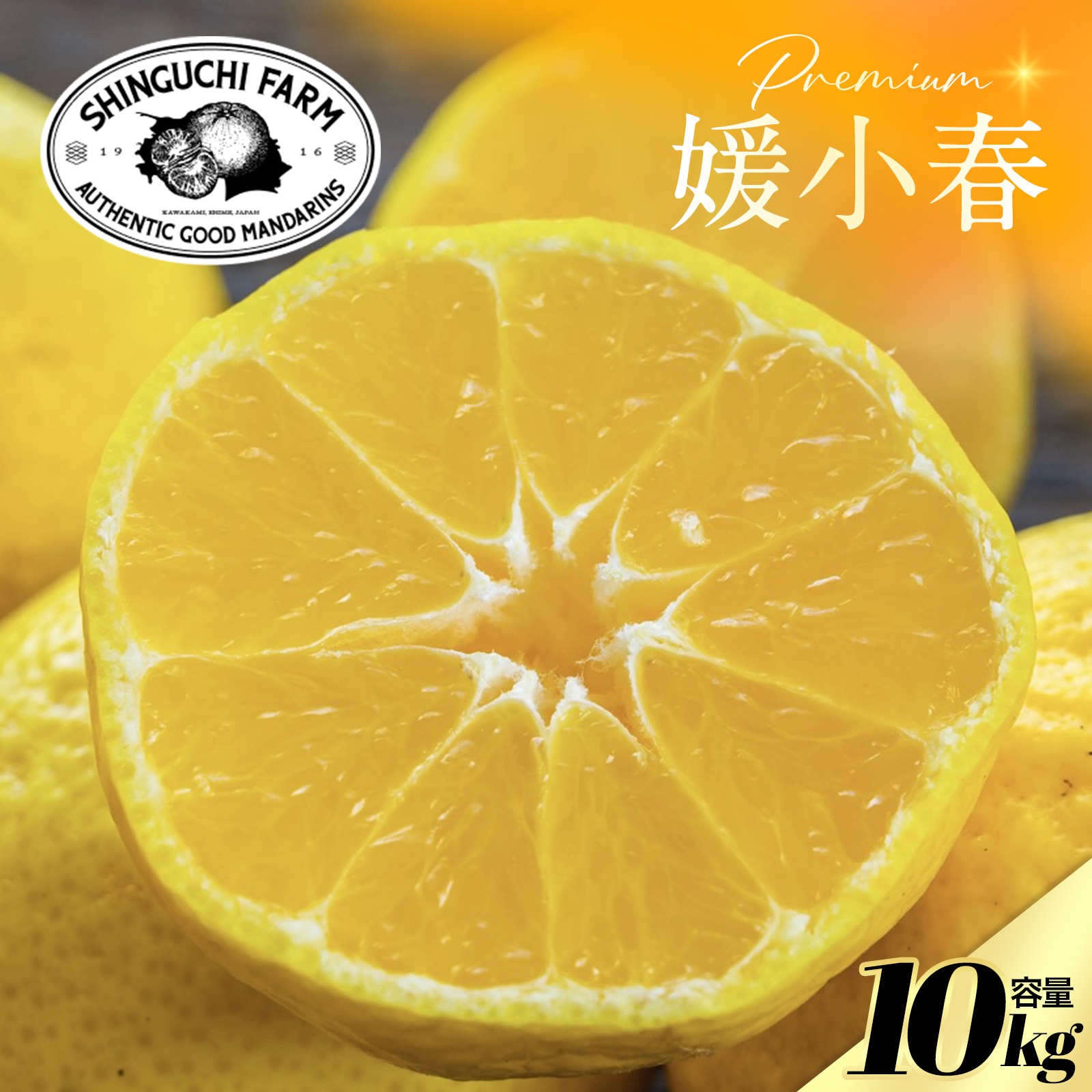 愛媛県産　媛小春　ひめこはる　柑橘　10kg 希少柑橘】媛小春 10kg『黄色いのに驚きの甘さ』【流通量の少ないレア