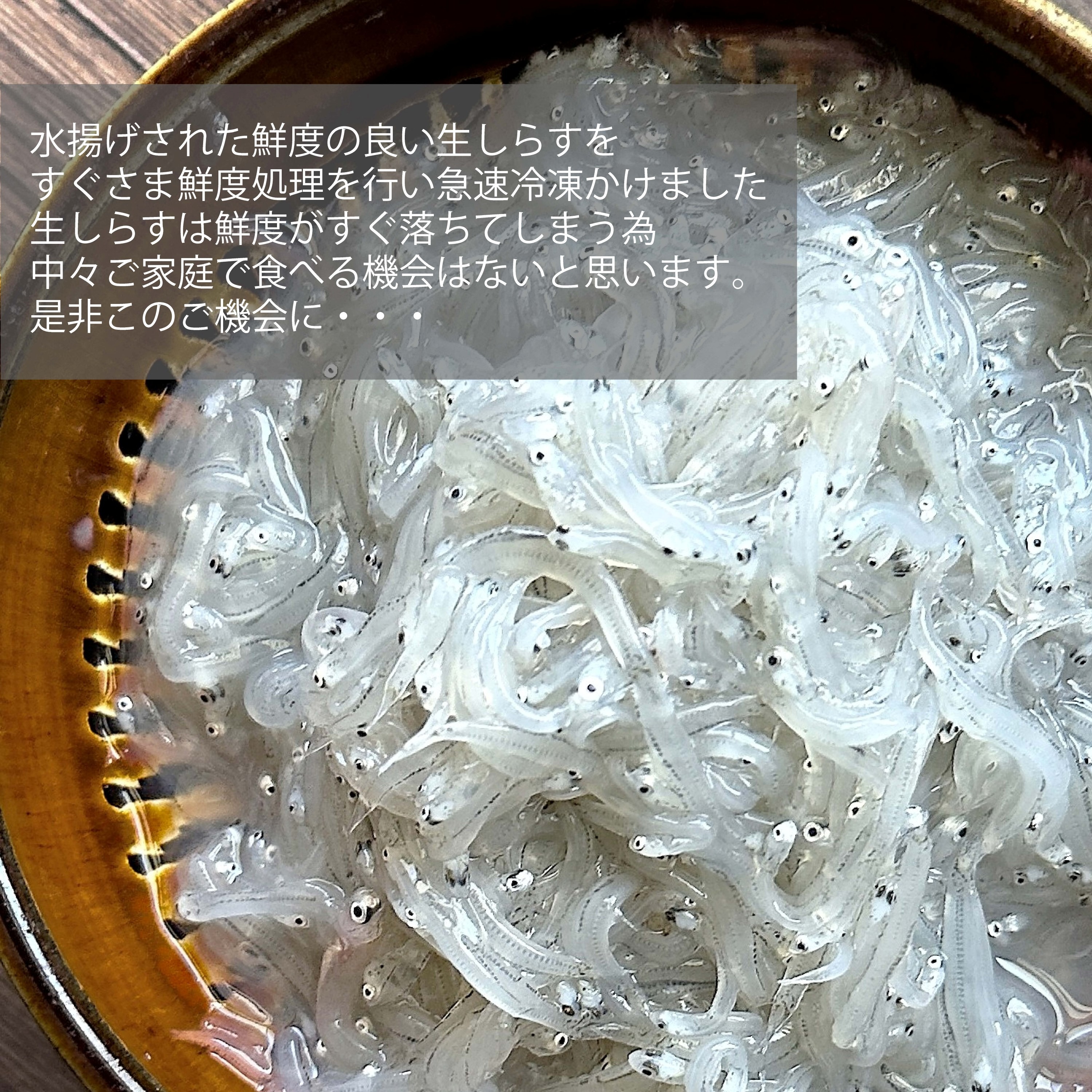 鮮度】水揚げ急速冷凍生しらす(期間限定発売） ｜ 魚介類/しらす