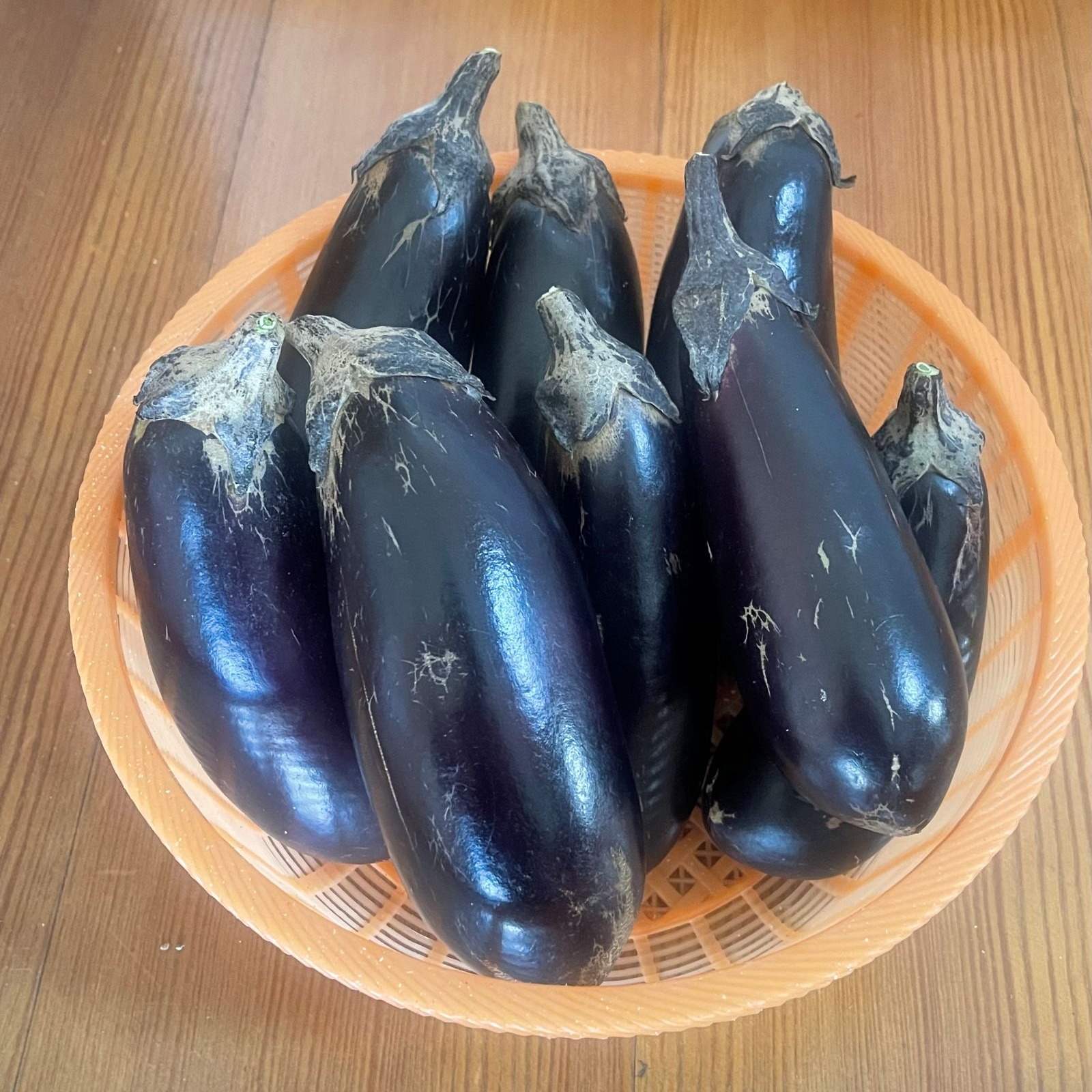 訳あり】くろべえ茄子 群馬県伊勢崎産 4kg ｜ 野菜/茄子 産直アウル 