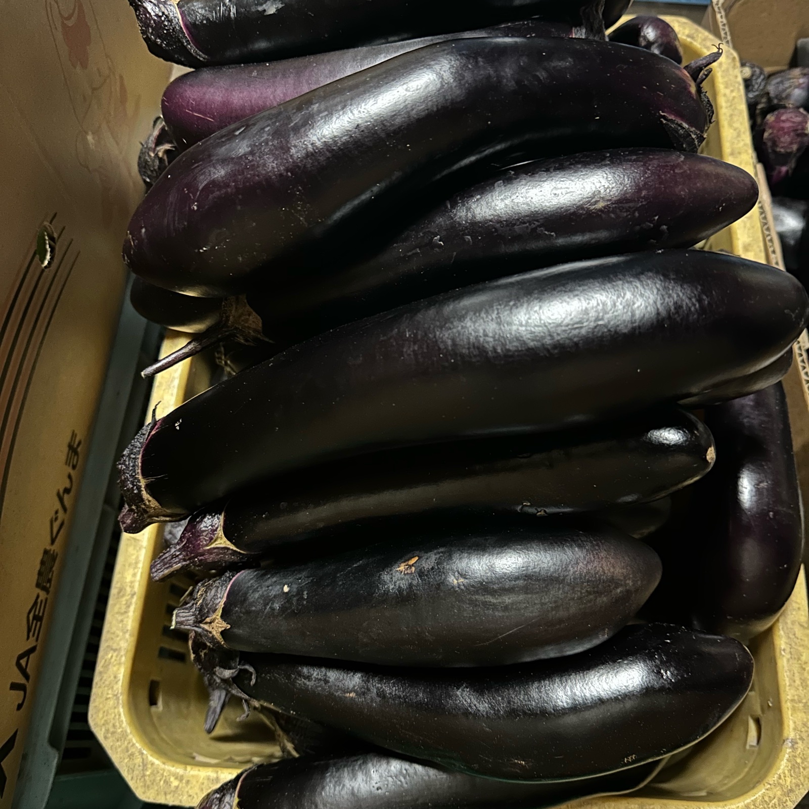 群馬県東吾妻町産【訳あり】長なす 1kg | 野菜/茄子 産直アウル 農家