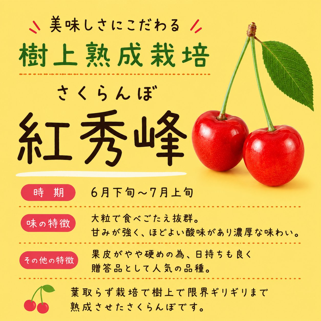 クール便発送 すぐお届け可能・朝採り当日発送 美味しさにこだわる樹上