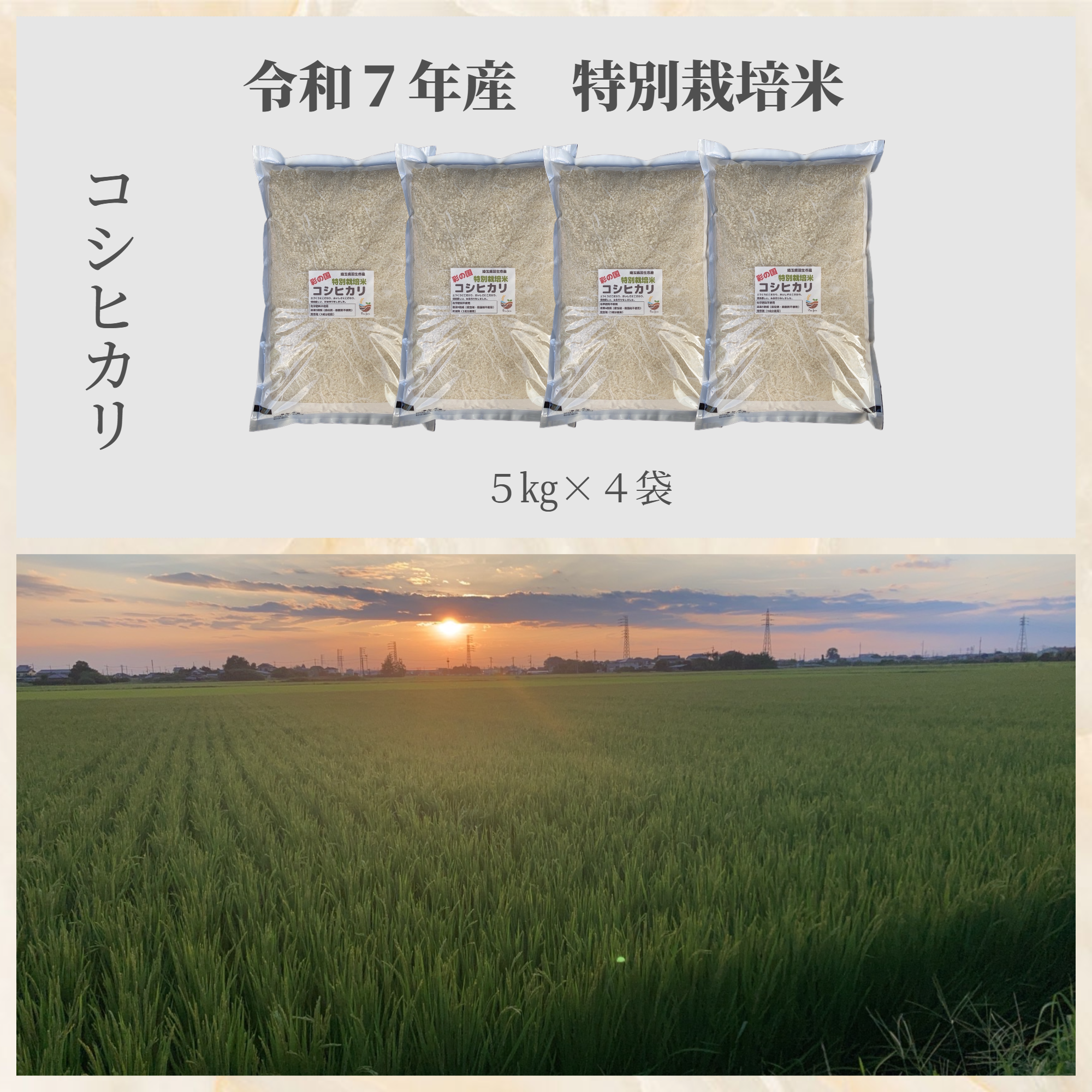 R7年産特別栽培米 コシヒカリ 20kg ｜ 米・穀物/米/精米 産直アウル 