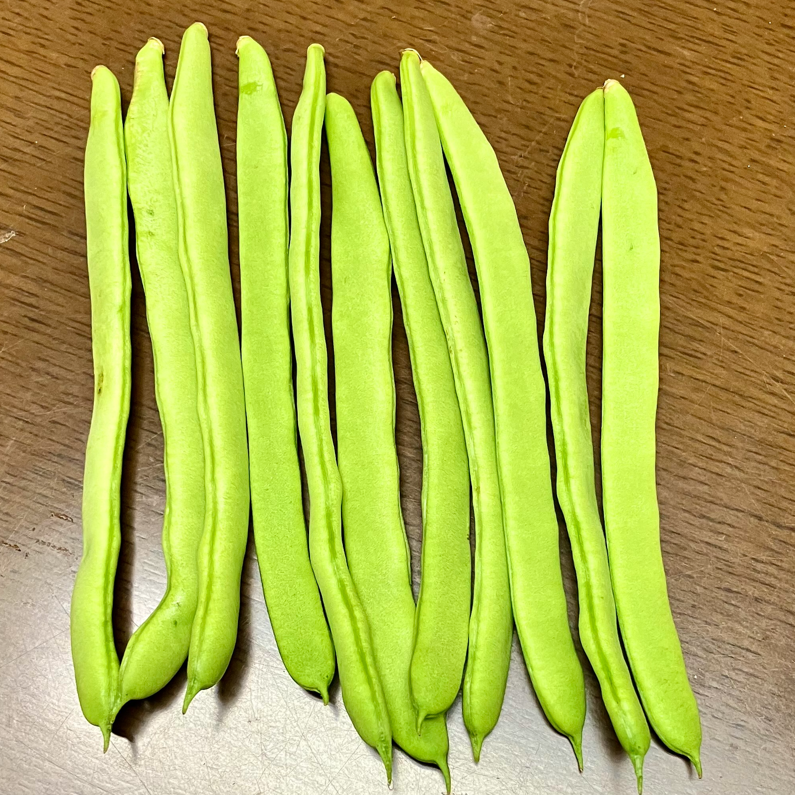 いんげん10 キロ送料込み インゲン10キロ送料込み 楽天市場】【送料