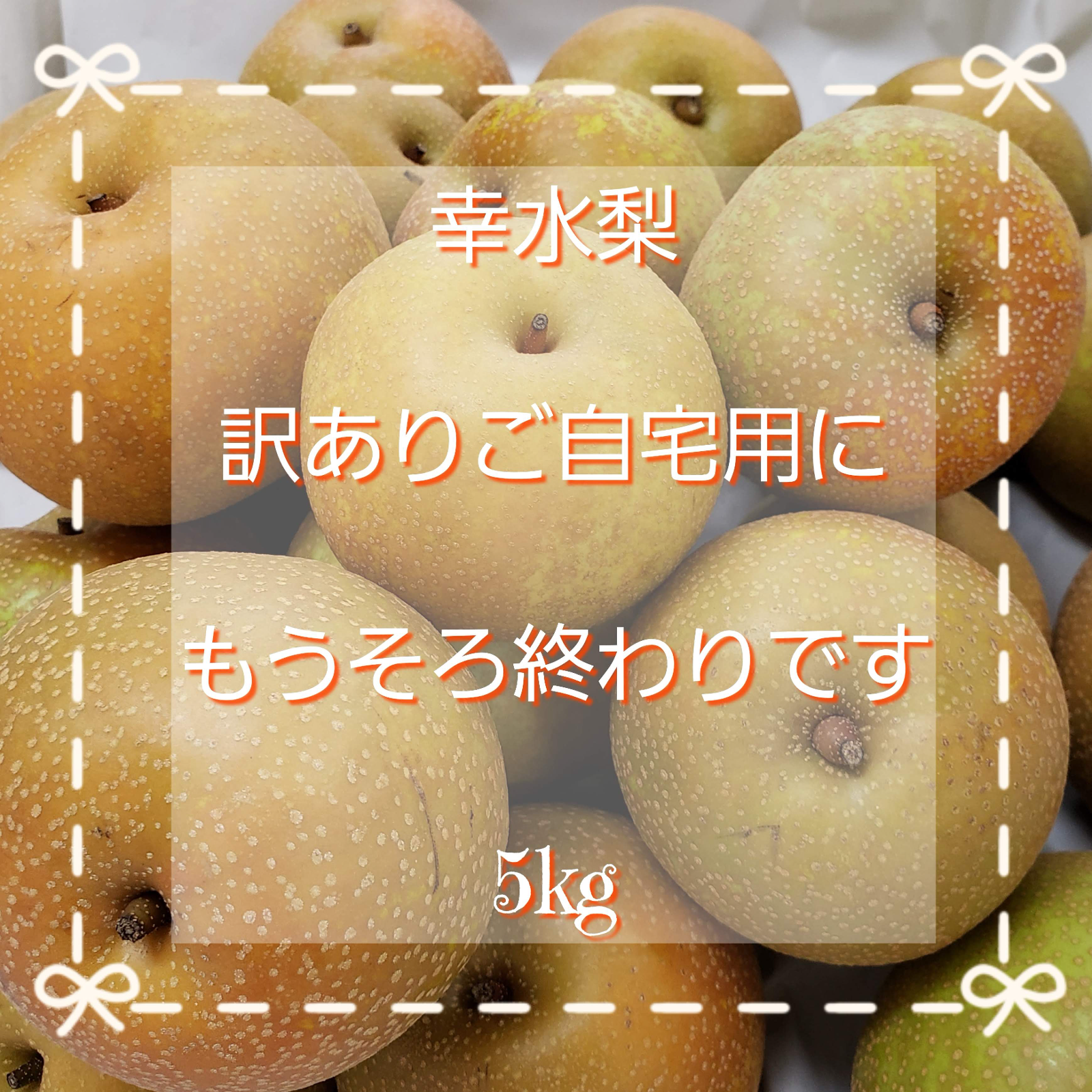梨!幸水!5kg!訳ありご自宅用梨！ ｜ 果物/梨 産直アウル 農家・漁師