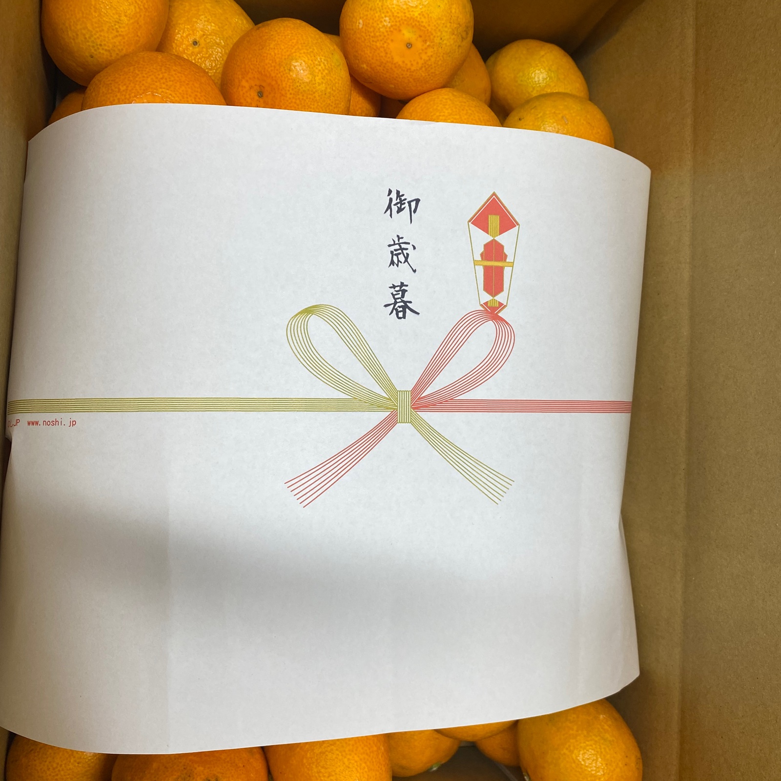 完熟みかん【お歳暮】田口早生5kg | 果物/温州みかん 産直アウル 農家