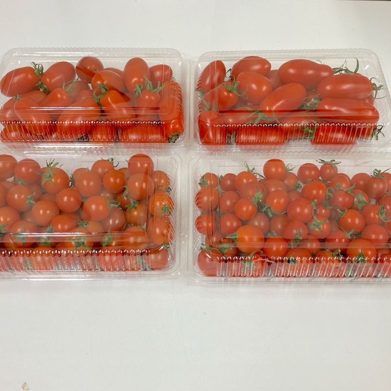 選果落ち 訳あり品 熊本産 ミニトマト＆アイコトマト 合計約 2キロ