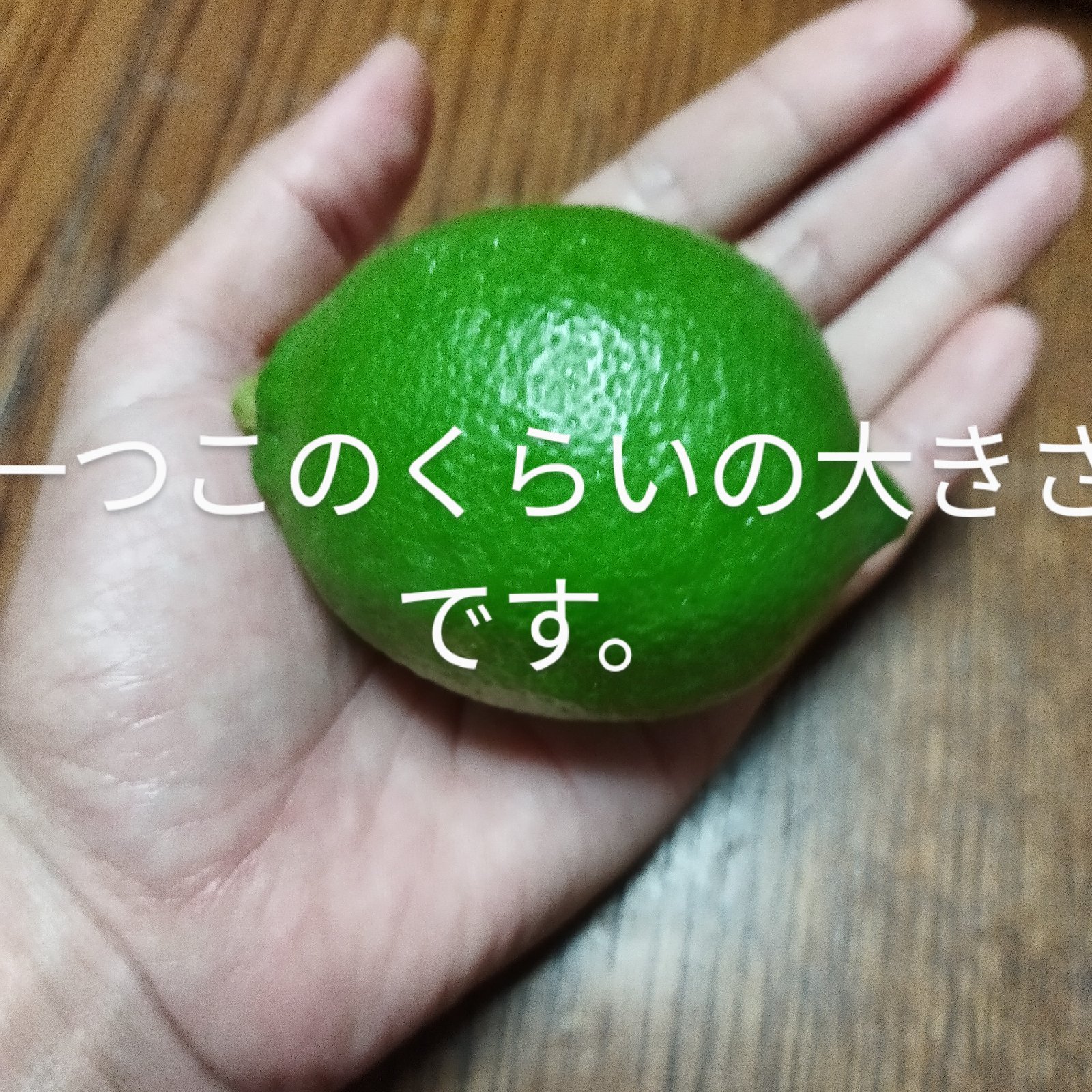 8f7835b7bbd8483ab2b7279db21978