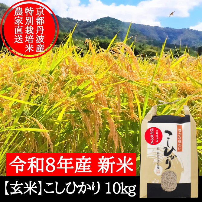 新米【玄米】特別栽培米こしひかり 10kg 令和8年産 節減対象農薬6割減