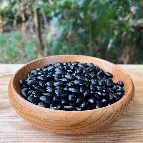 インゲン豆　無選別　5キロ インゲンの産地直送食材一覧（通販・お取り寄せ）-産直アウル