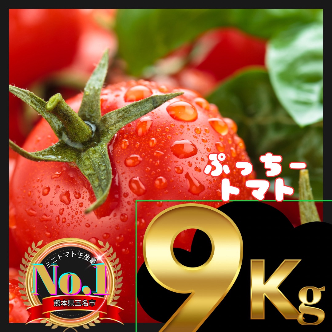 ミニトマト 9キロ 野菜 熊本産地直送 弁当 おかず トマト ミネラル