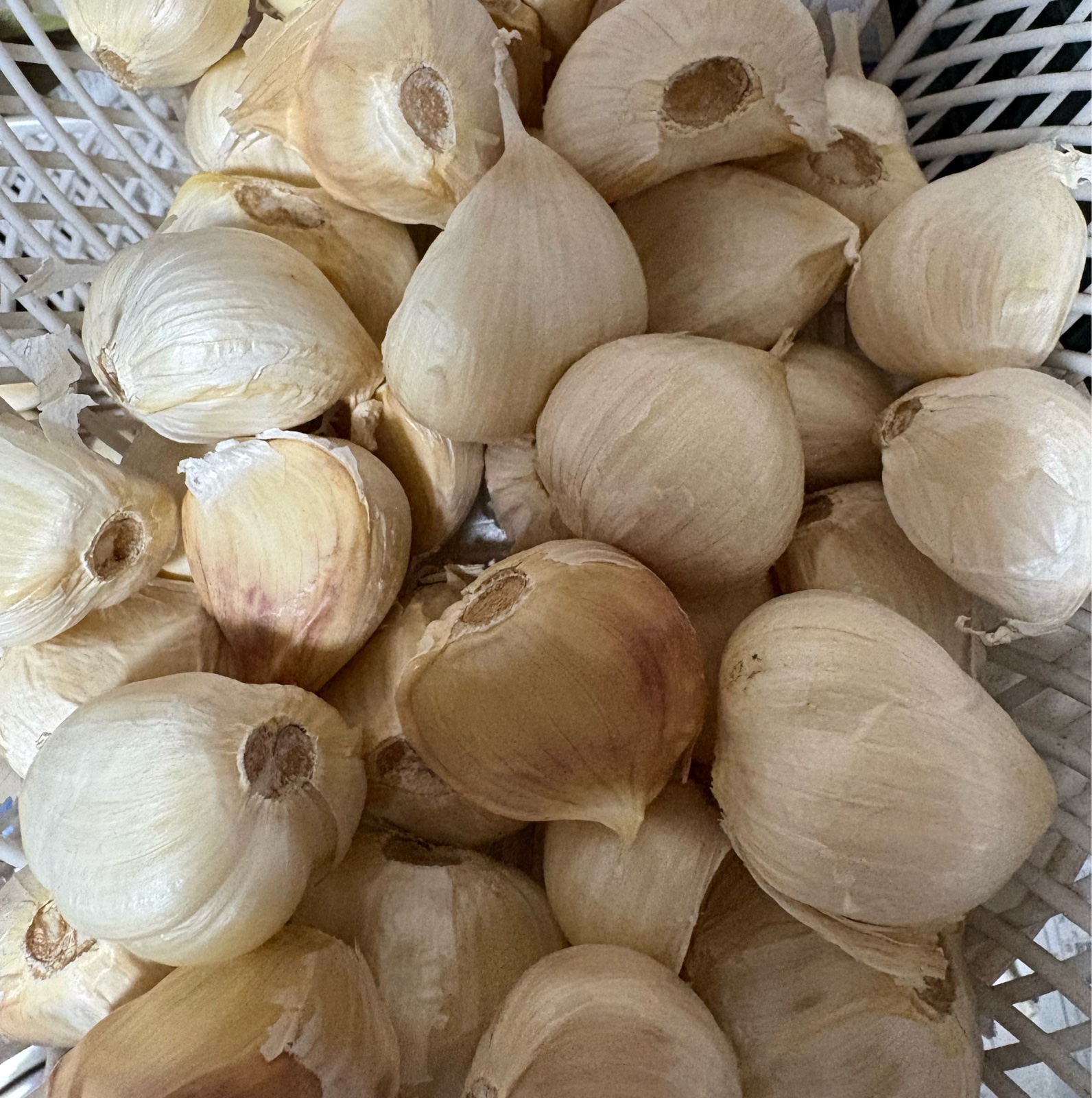 Oh得】にんにくばら極大粒 ｜ 野菜/にんにく 産直アウル 農家・漁師