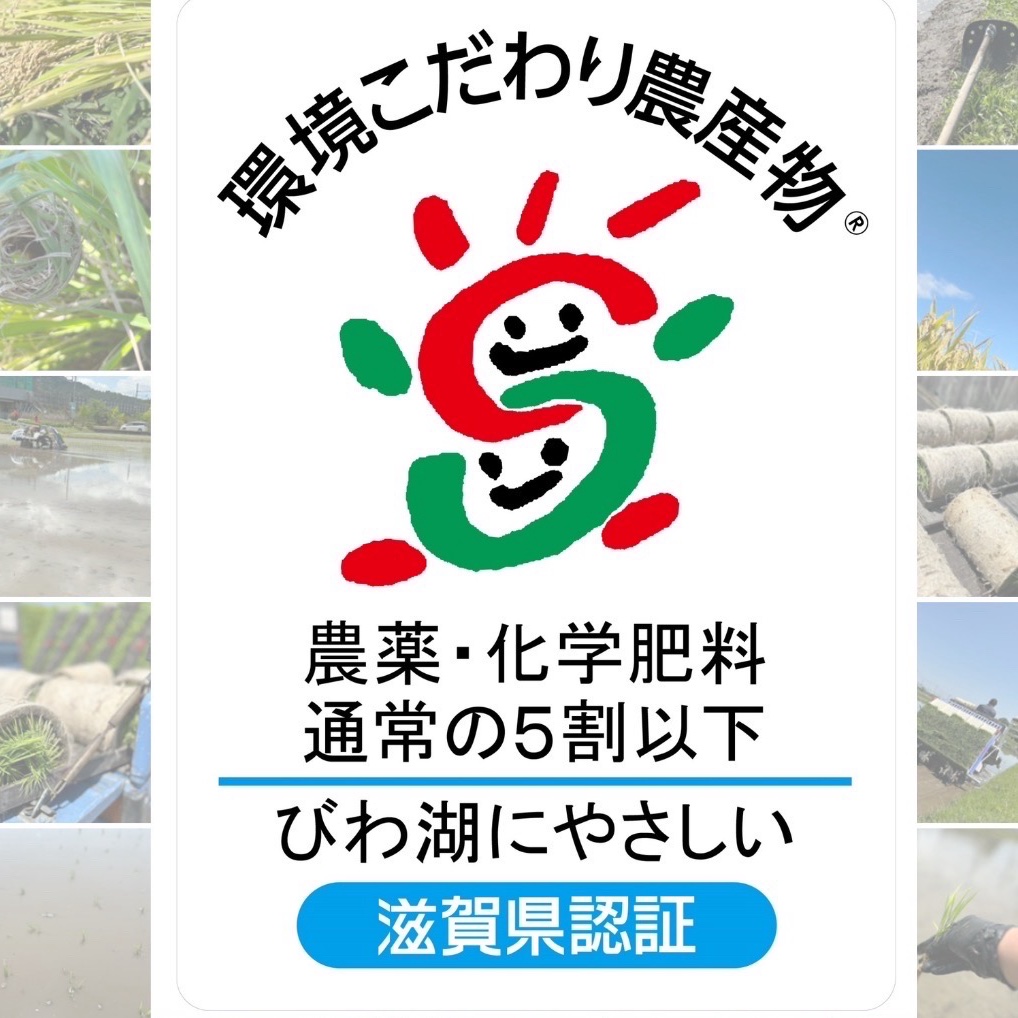 ◆栽培期間中無農薬◆令和7年収穫 ◆滋賀県産キヌヒカリ、玄米20㎏　① ◇栽培期間中無農薬◇令和7年収穫 ◇滋賀県産キヌヒカリ、玄米20㎏ ①