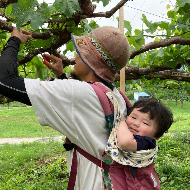 オーダー専用のページです～ちばちゃんの安心♡元気な 果樹の枝、野菜の種・苗 9034343ad5682ec5c386558044bdf3