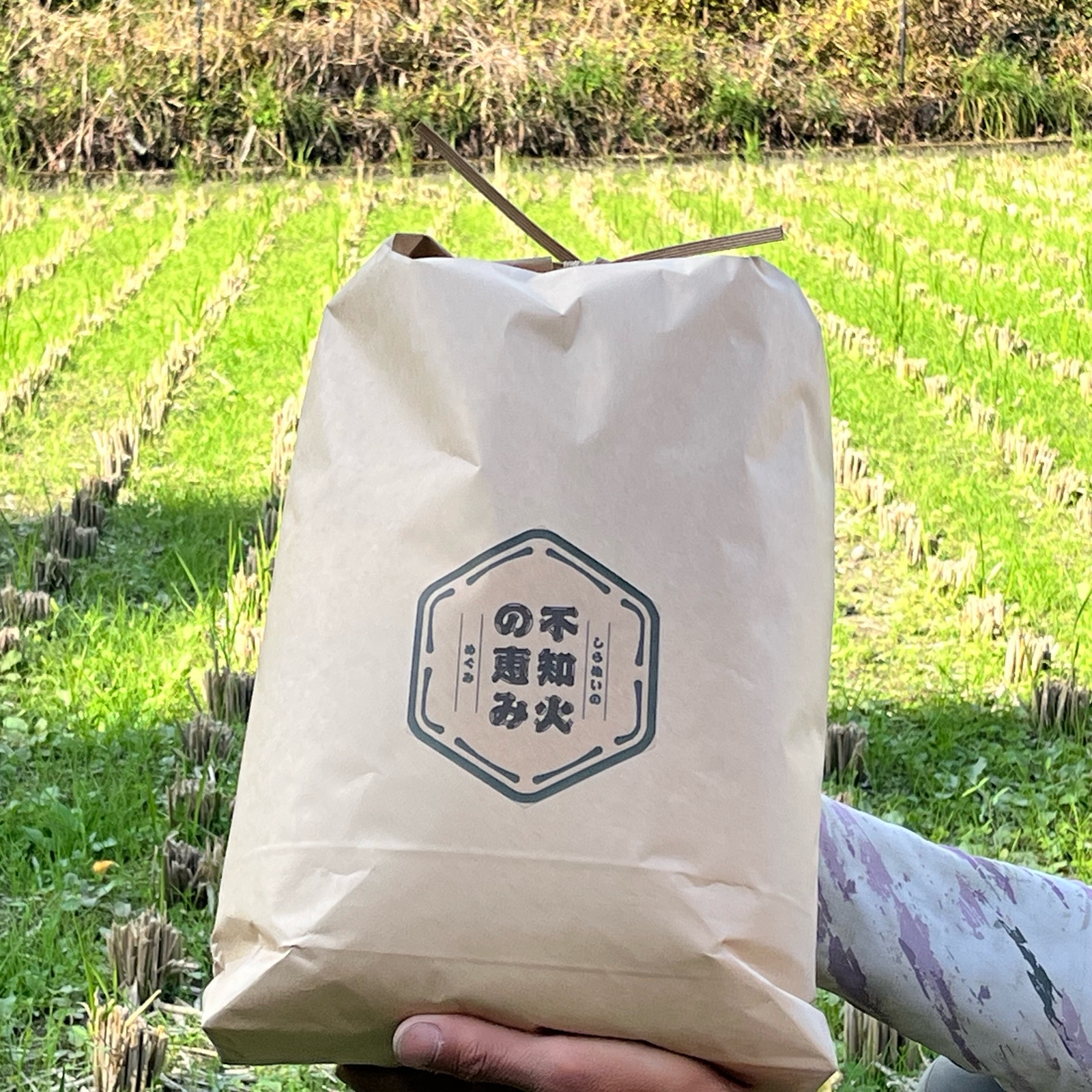 6周年限定】令和7年度熊本県産 くまさんの輝き 玄米5kg ｜ 米・穀物