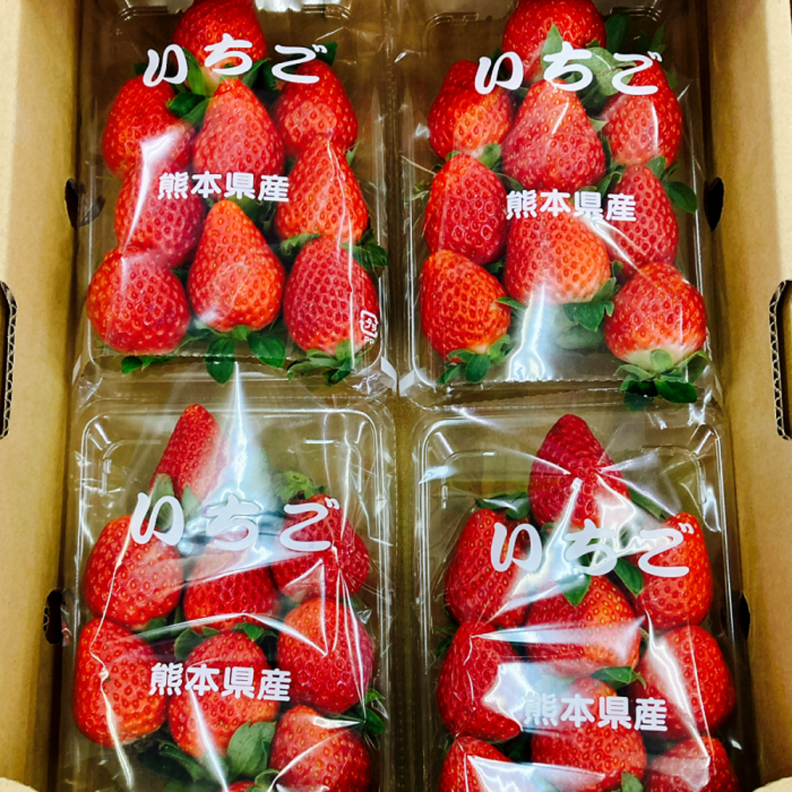 柔らかな質感の 冷凍苺24kg(500g×48袋） 売り出し卸値 佐賀県産 ジャム