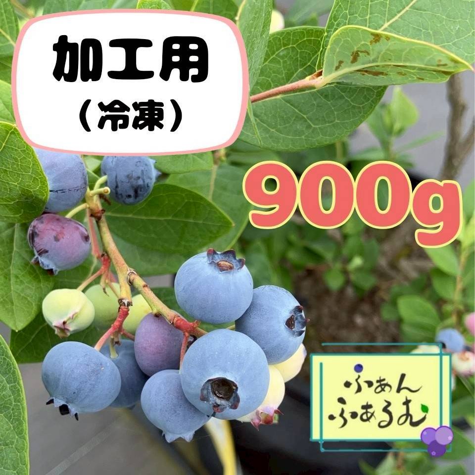 無農薬 令和7年収穫 冷凍ブルーベリー 5kg 無農薬 令和7年収穫 冷凍