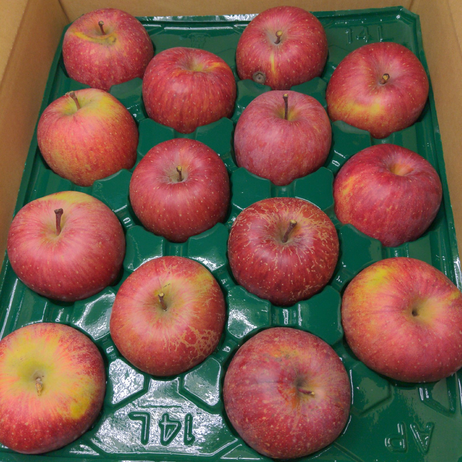 リンゴ　B級品 りんご14玉B級品家庭用 ｜ 果物/りんご 産直アウル 農家・漁師など生産