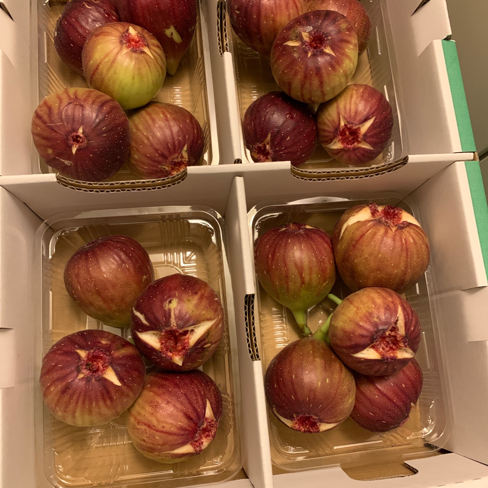 いちじく 4パック ギフトにも 12から22個 1.4から1.6kg ｜ 果物