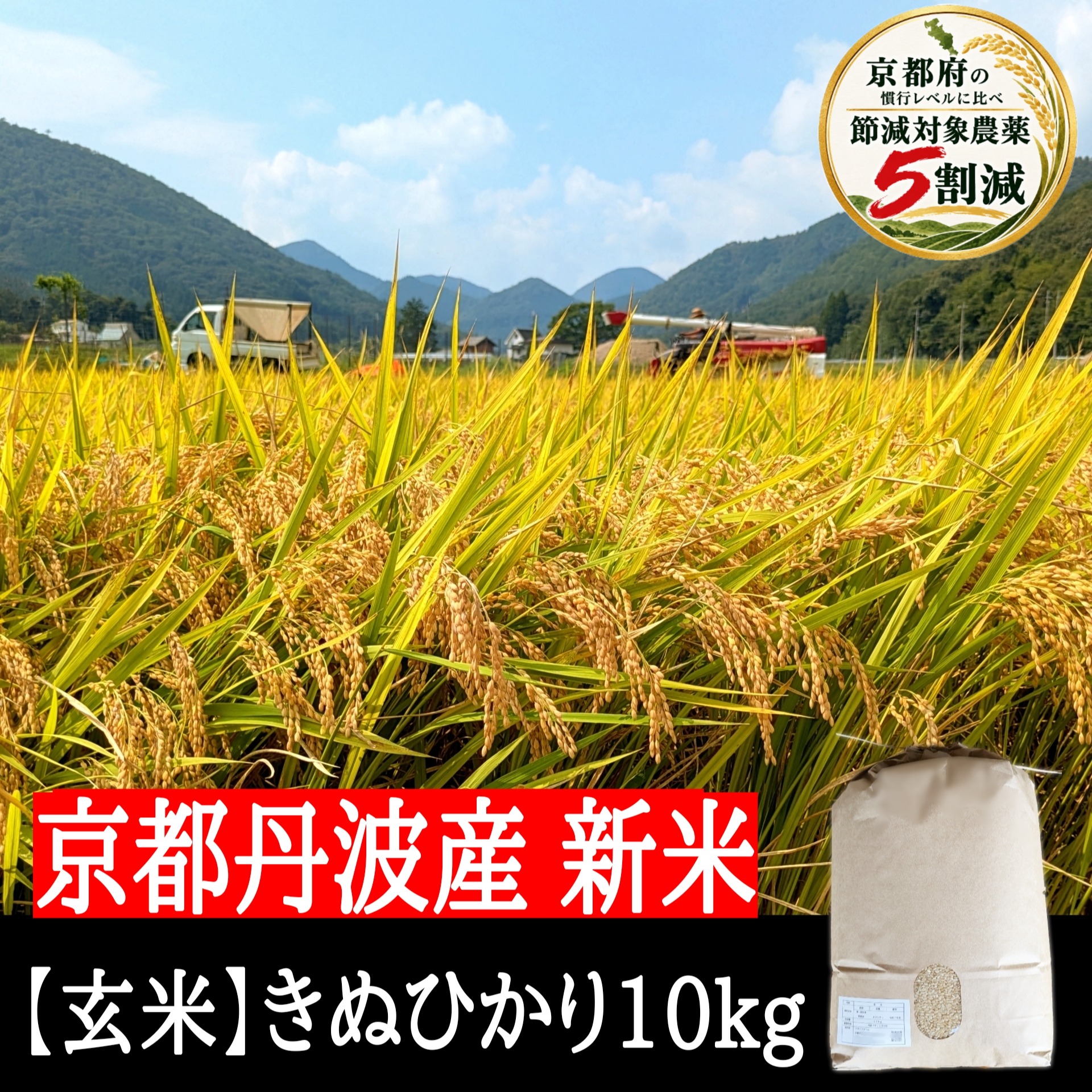 きぬひかり【玄米】10kg 新米 令和8年産 農薬5割減 京都府京丹波町産