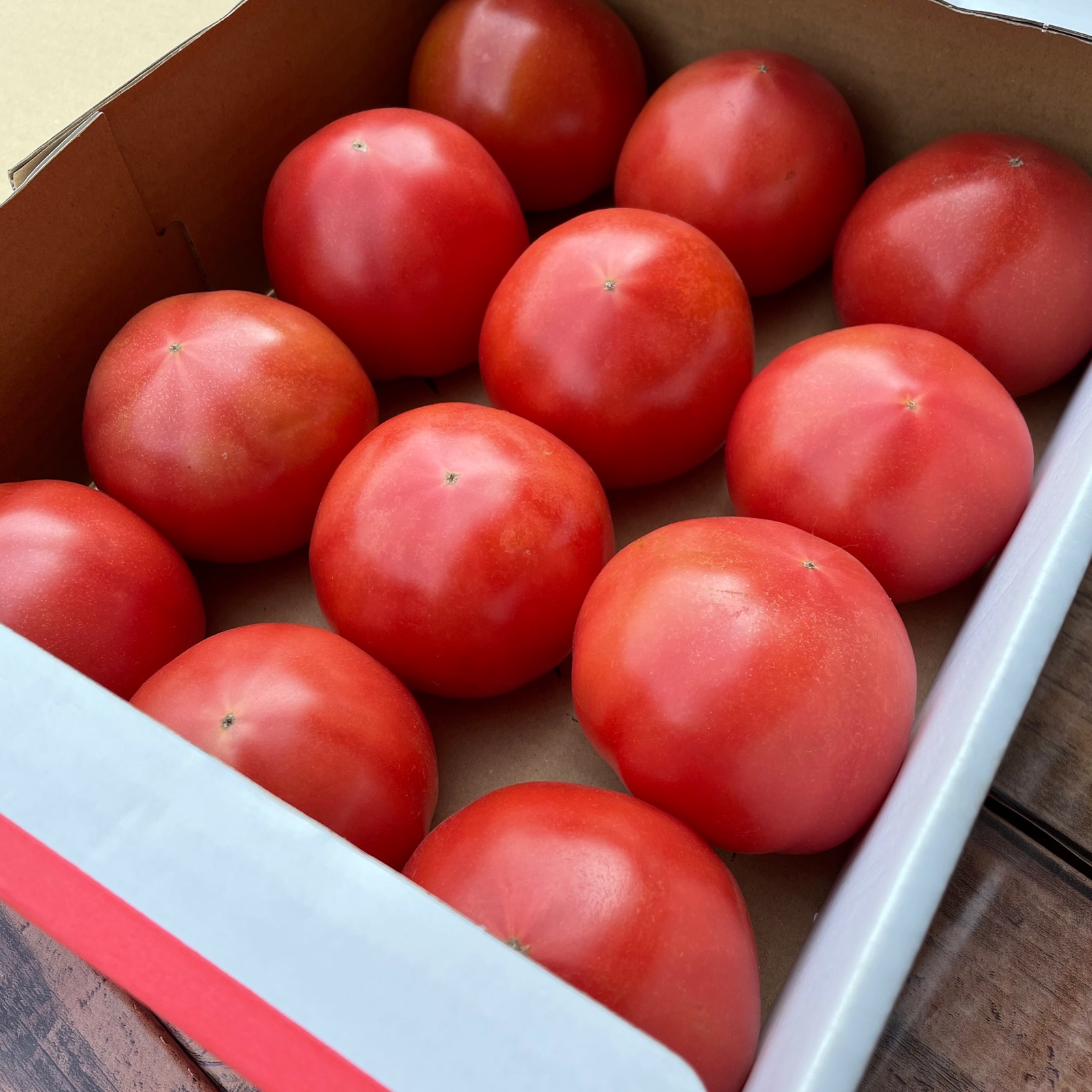 トマト　じょう12個 赤熟もぎり！水耕栽培の王様トマトM玉12個（2キロ箱） ｜ 野菜/トマト