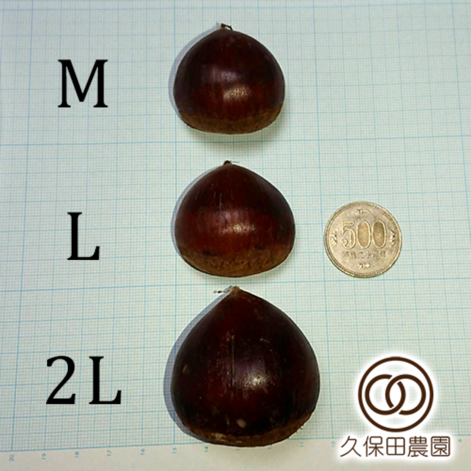 茨城のうまい栗（ぽろたん） 2Lサイズ（約1kg） | 果物/栗 産直アウル