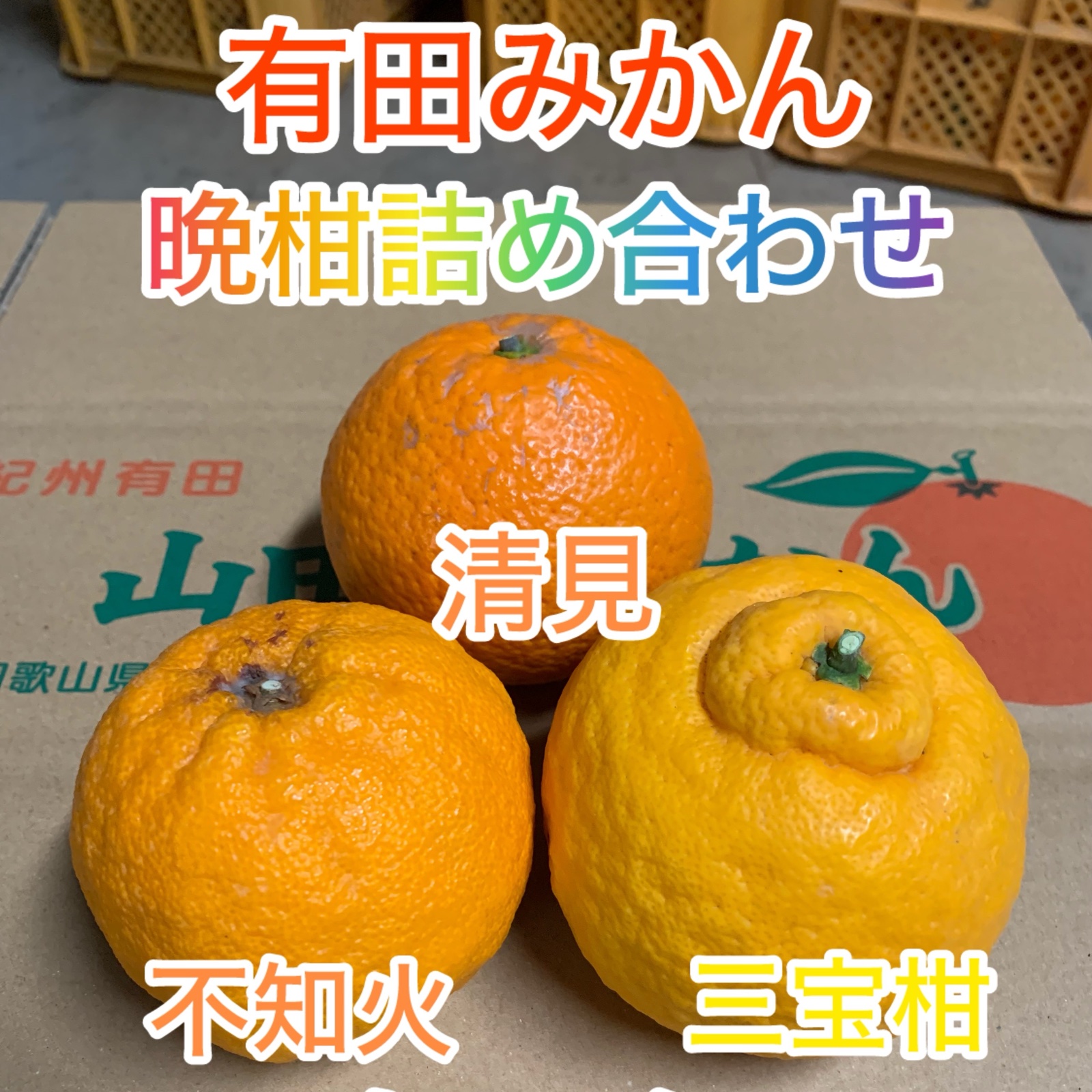 帳銀河不知火3L10kg、パール柑4L10kg 徳島県産】不知火 3kg L～5Lサイズ – 高知かわうそ市場